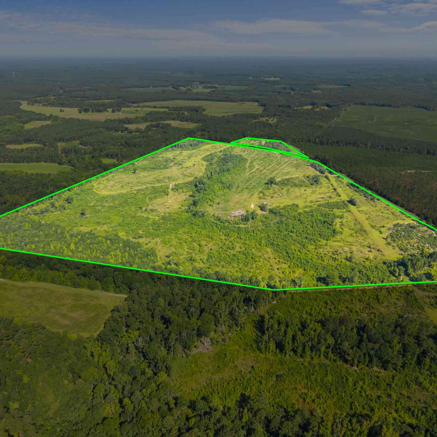 Vacant Land For Sale - 3605 Perkins Hiltonia Road<br/> Jenkins County, Millen, GA 30442