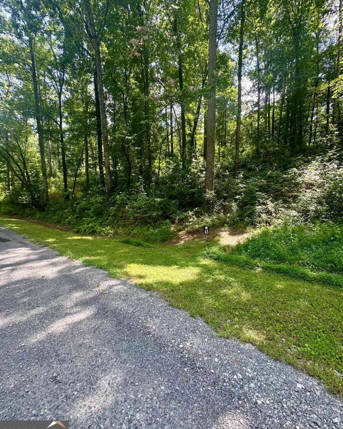 Vacant Land For Sale - LT 43 Hilton Drive<br/> Ellijay, GA 30540