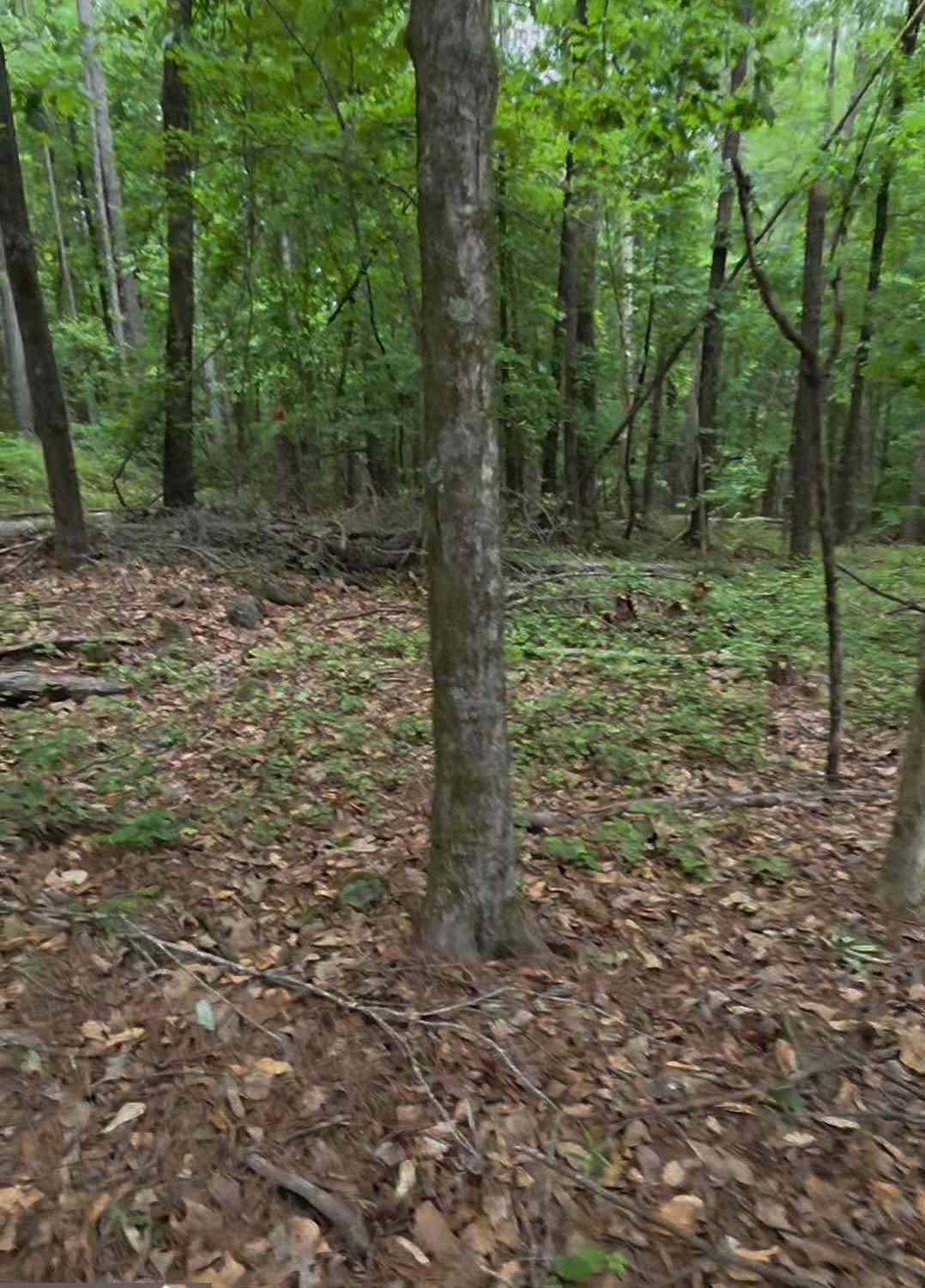 Vacant Land For Sale - 3467 Monica Lane SW<br/> Rockdale County, Conyers, GA 30094