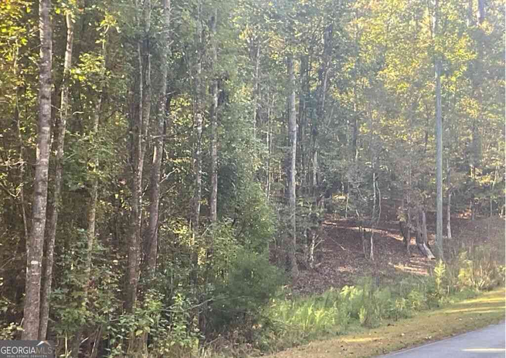 Vacant Land For Sale - LOT 161 Jamesway Drive<br/> Hancock County, Sparta, GA 31087