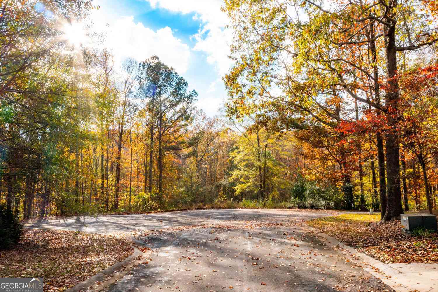 Vacant Land For Sale - 301 River Place Drive NW<br/> Calhoun, GA 30701