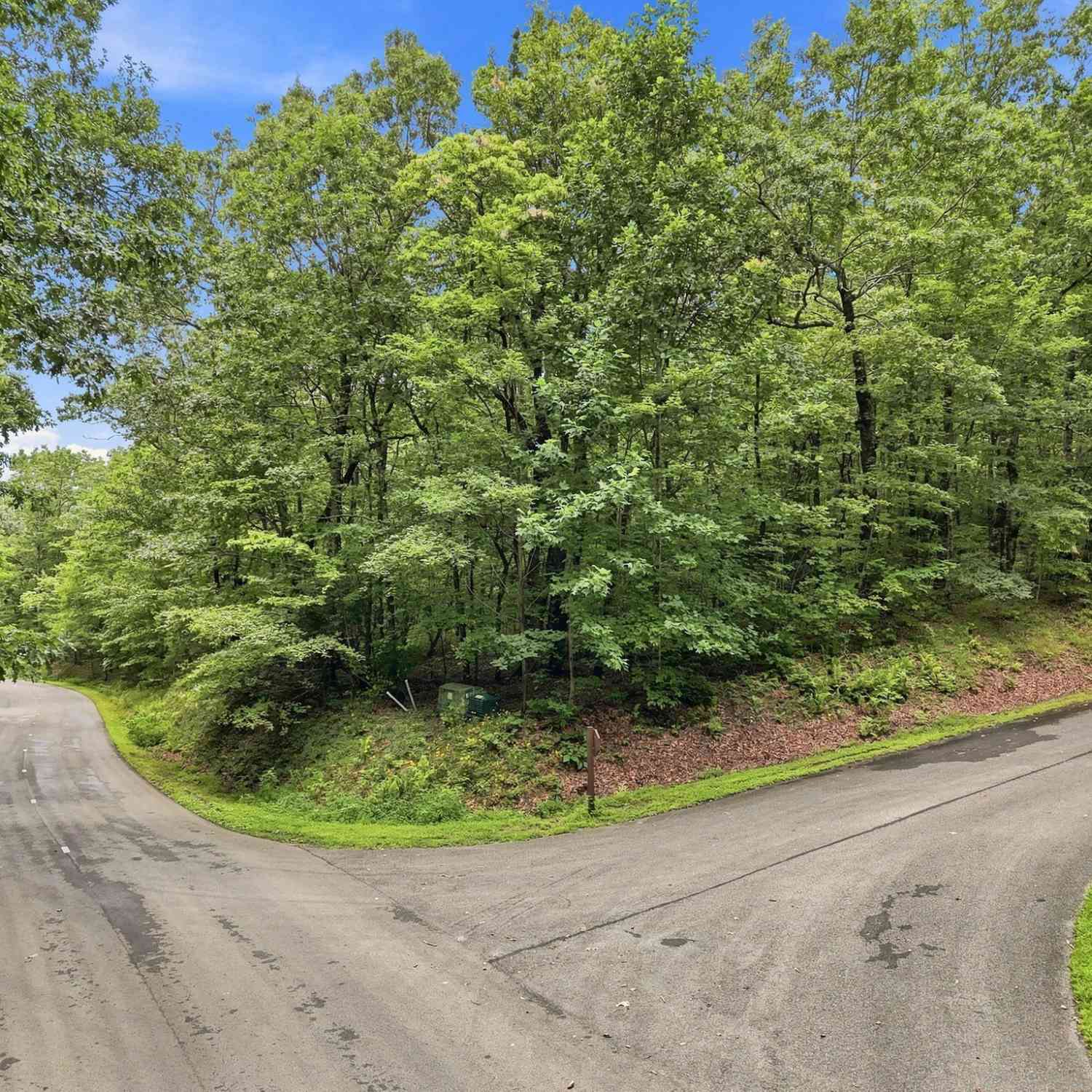 Vacant Land For Sale - LOT197 St Andrews Way<br/> Gilmer County, Ellijay, GA 30536