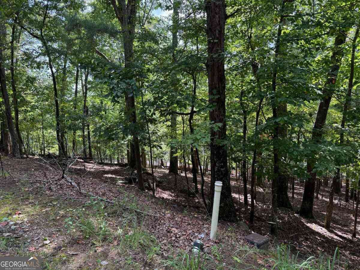 Vacant Land For Sale - 117 Tulip Tree Court<br/> Cherokee County, Waleska, GA 30183