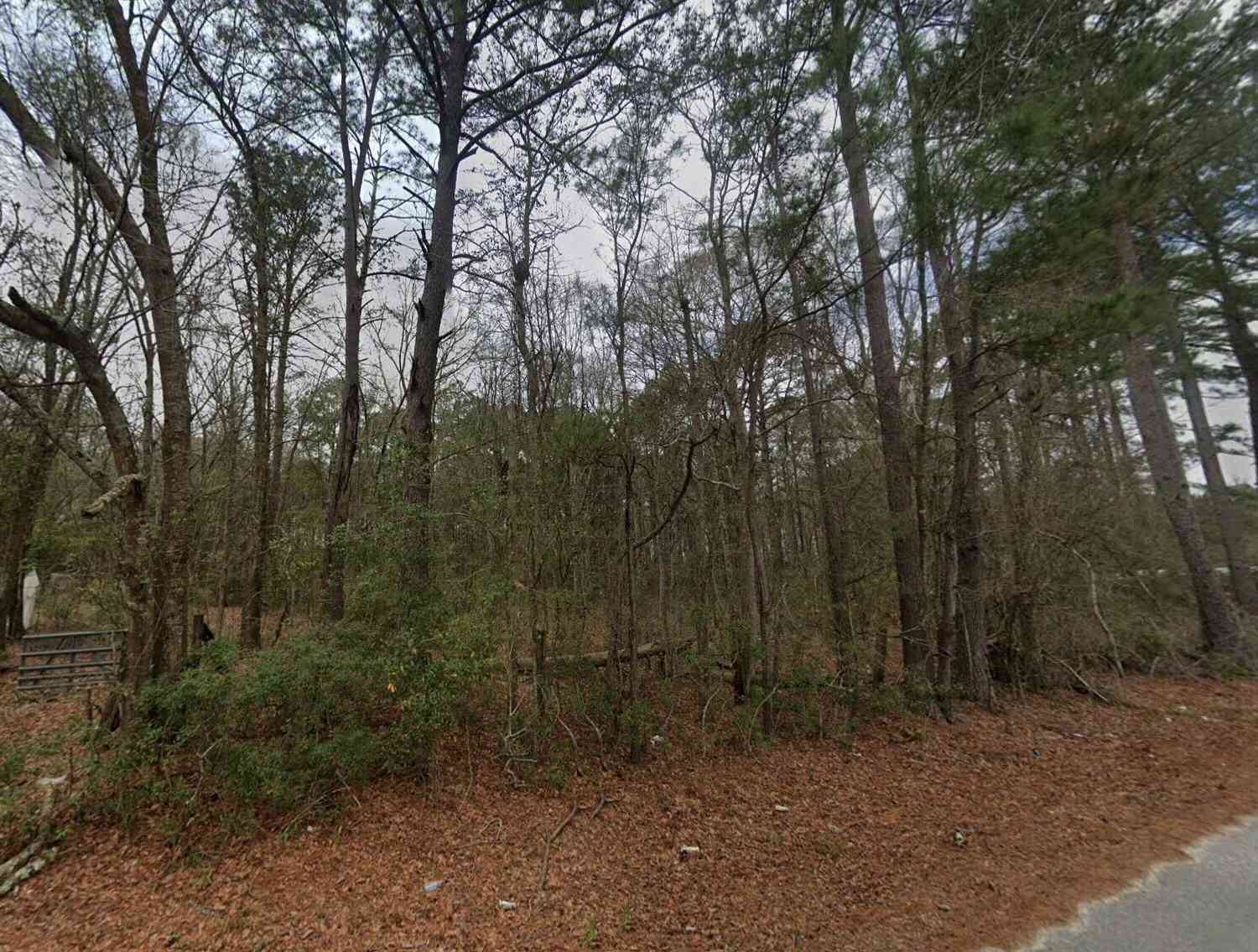 Vacant Land For Sale - 545 Homestead Drive<br/> Ellabell, GA 31308
