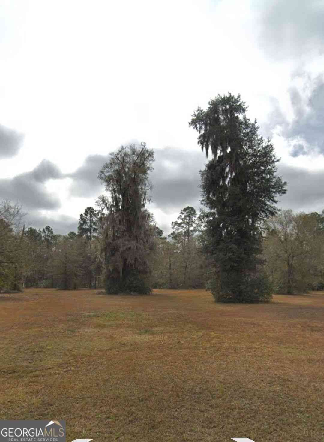 Vacant Land For Sale - 0 (LOTS 1-12) Gordon Street #1-12 BLK 145<br/> Charlton County, Saint George, GA 31562