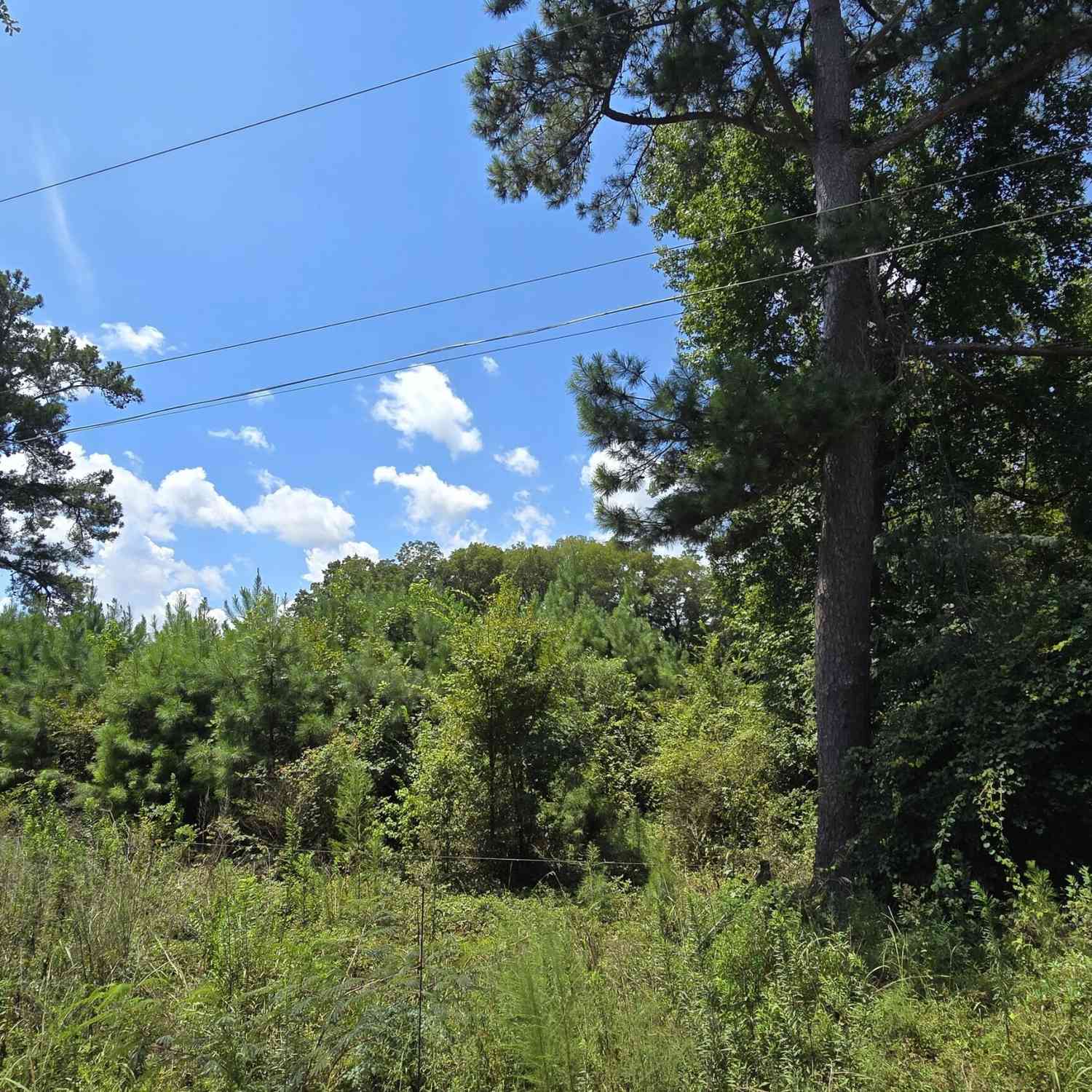 Vacant Land For Sale - 7161 Molton Road<br/> Bibb County, Macon, GA 31216