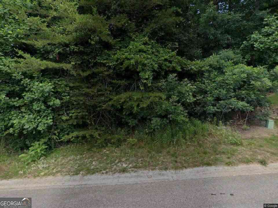 Vacant Land For Sale - 5429 Speckled Wood Lane<br/> Hall County, Gainesville, GA 30506