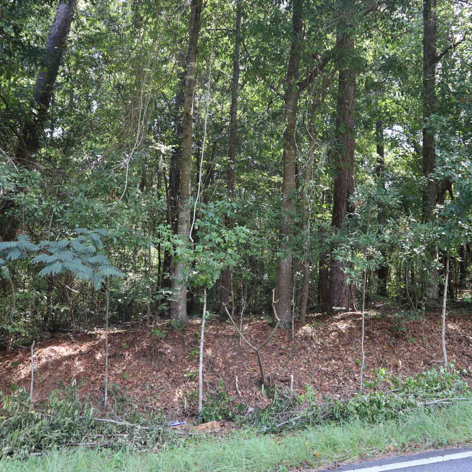 Vacant Land For Sale - 5514 & 5524 Bankston Lake Road<br/> Bibb County, Macon, GA 31216