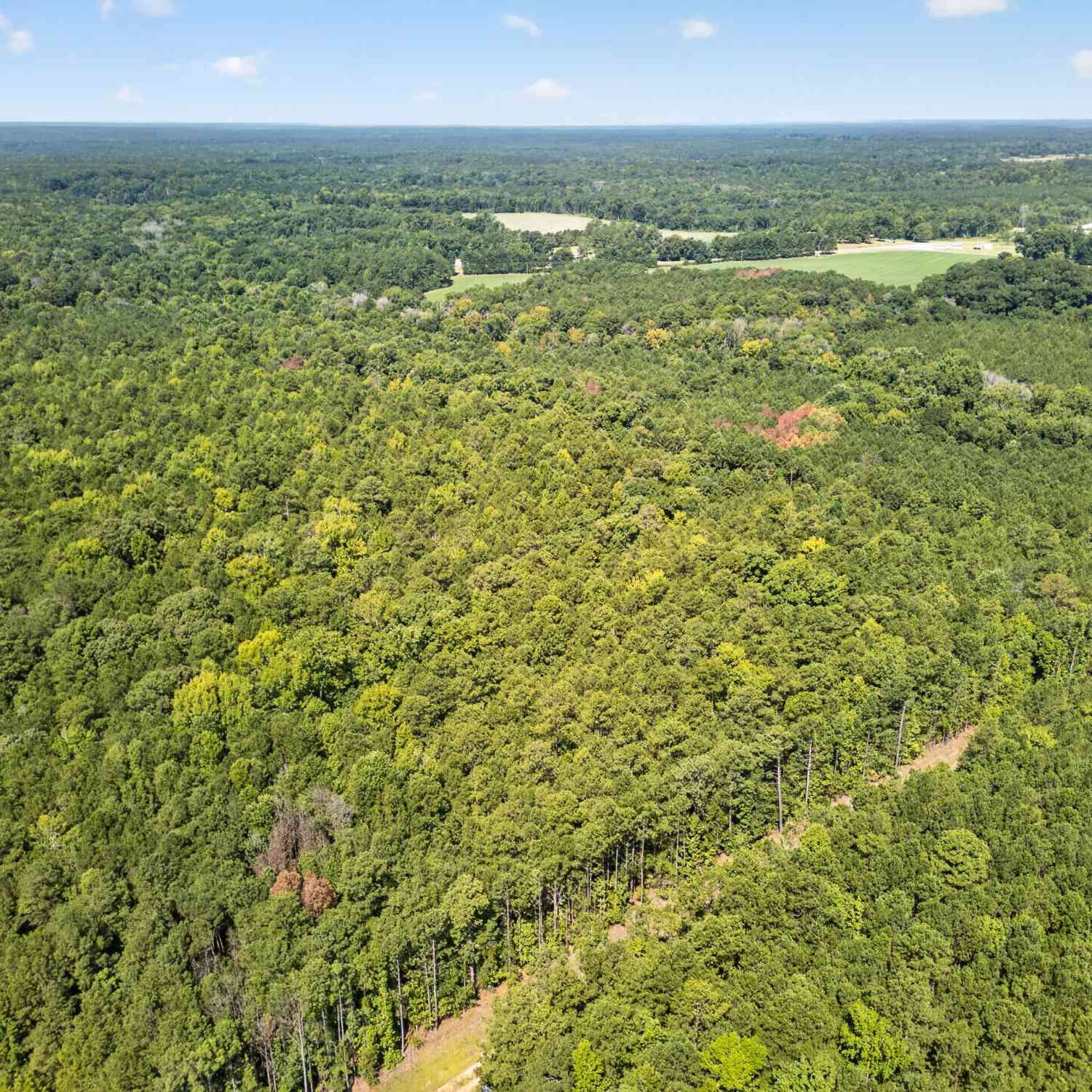 Vacant Land For Sale - 484 Stonegables Court<br/> Jones County, Gray, GA 31032
