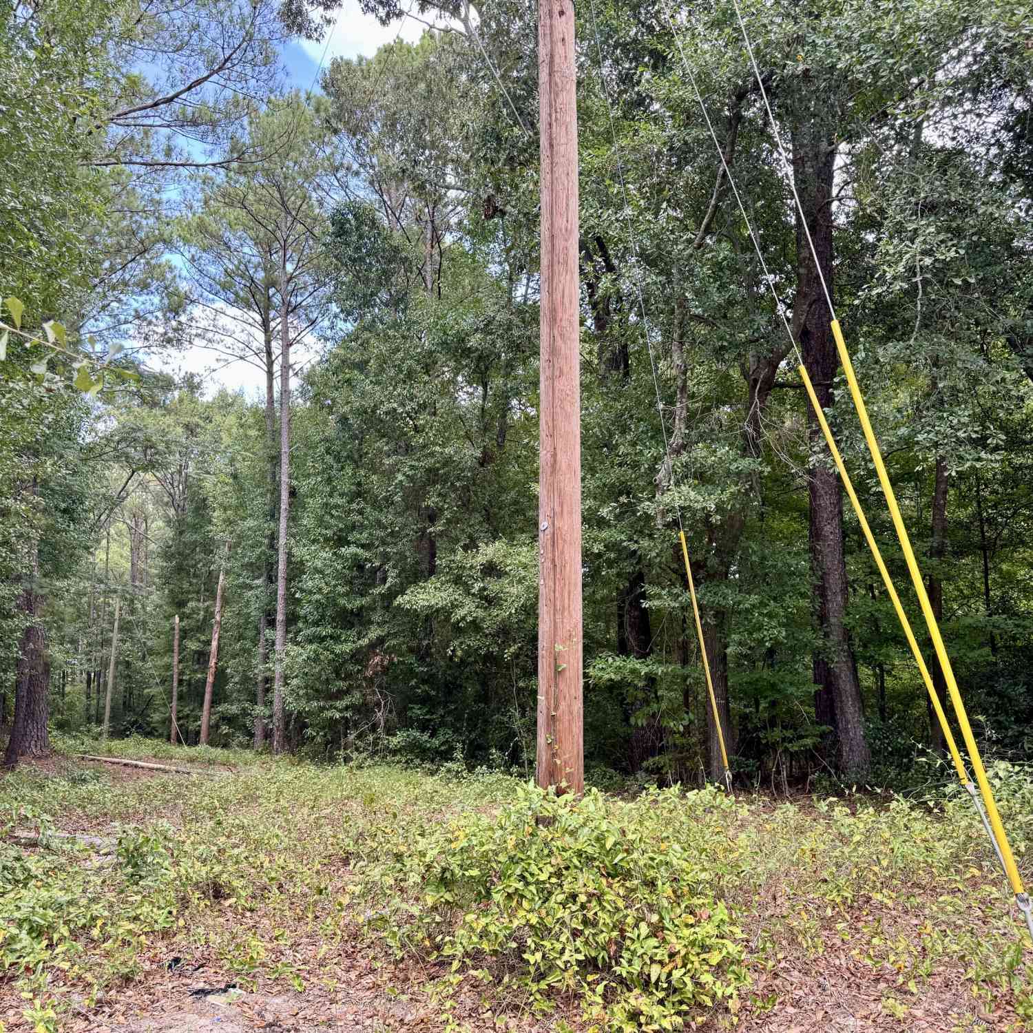 Vacant Land For Sale - 257 W Crusselle Street<br/> Roberta, GA 31078