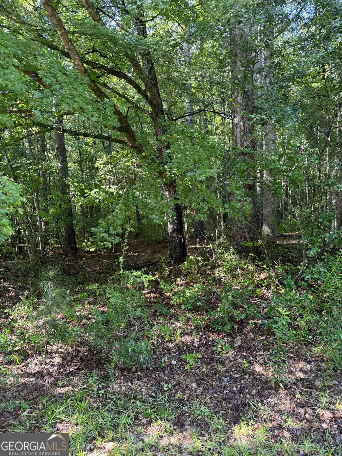 Vacant Land For Sale - 89 Trellis Court<br/> Carroll County, Carrollton, GA 30116