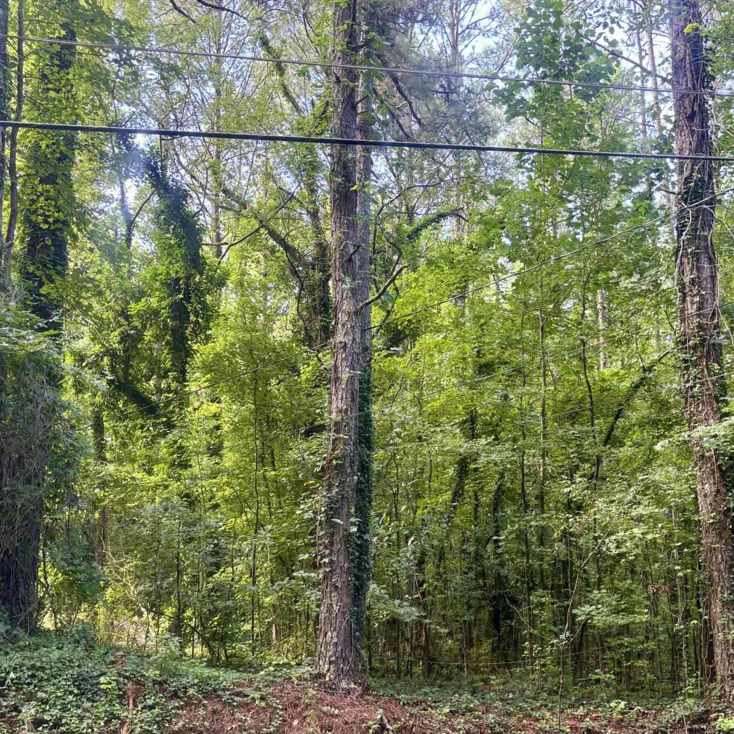 Vacant Land For Sale - Church Street<br/> South Fulton, GA 30272