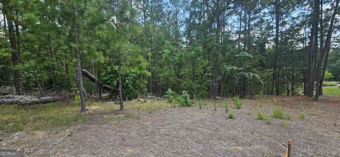 Vacant Land For Sale - LOT 2 Amelia Dr<br/> McCormick, SC 29835