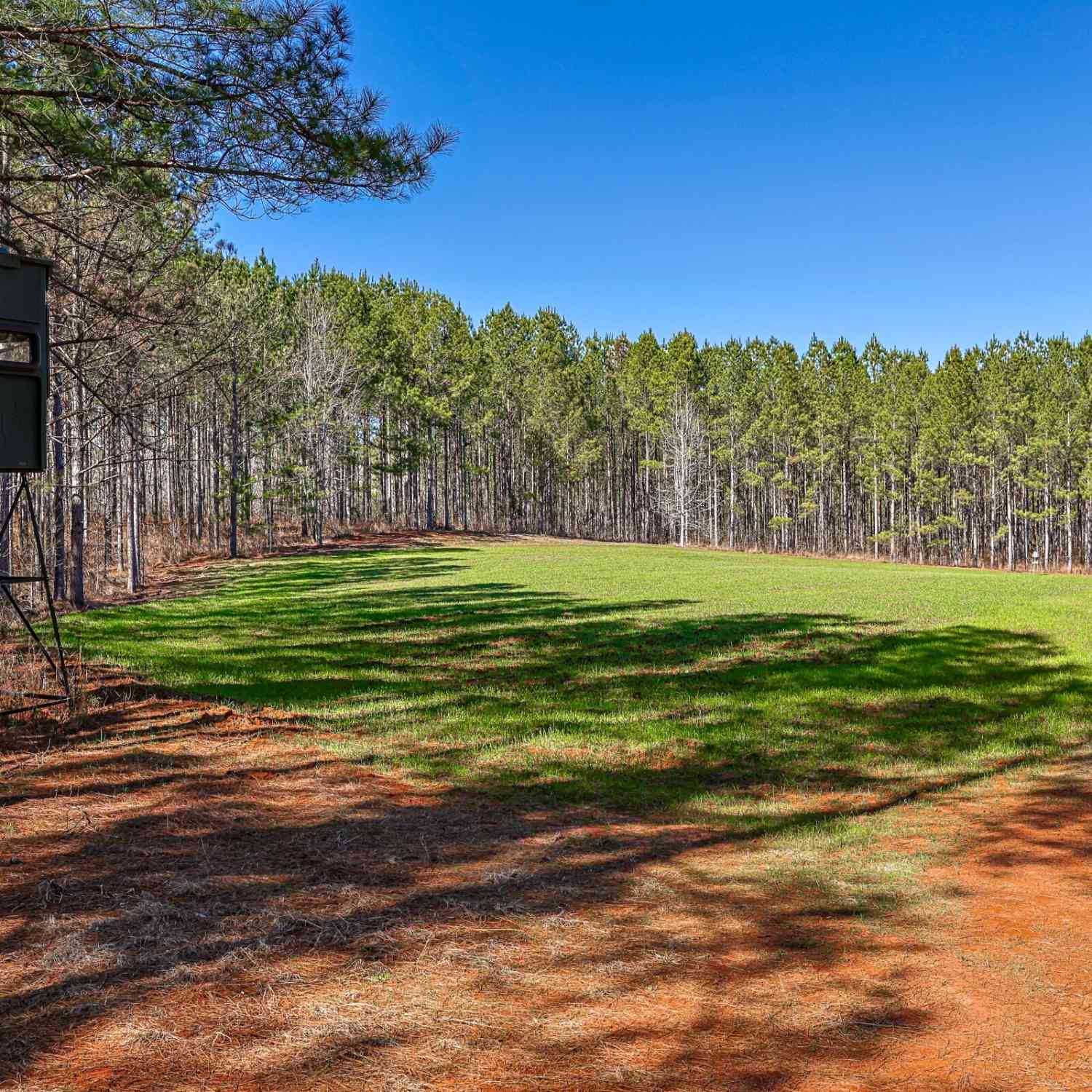 Vacant Land For Sale - T1-2 Old Zebulon Road<br/> Forsyth, GA 31029