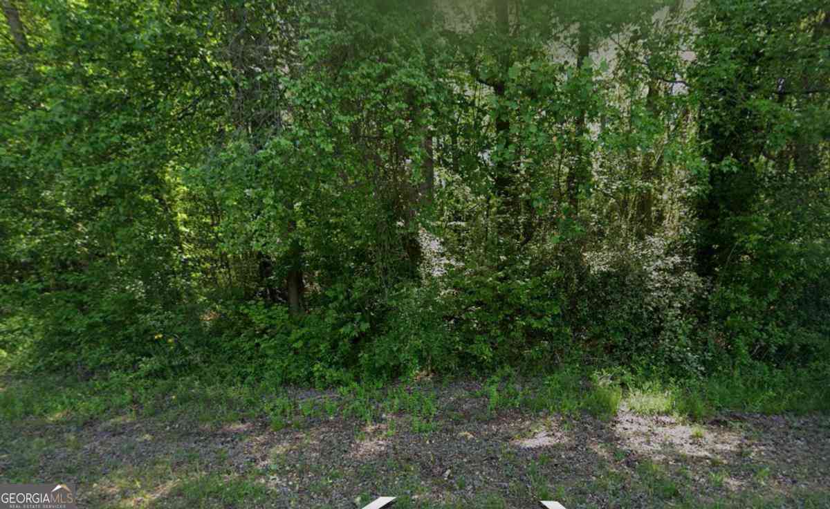 Vacant Land For Sale - 1374 Zebulon Road<br/> Spalding County, Griffin, GA 30224