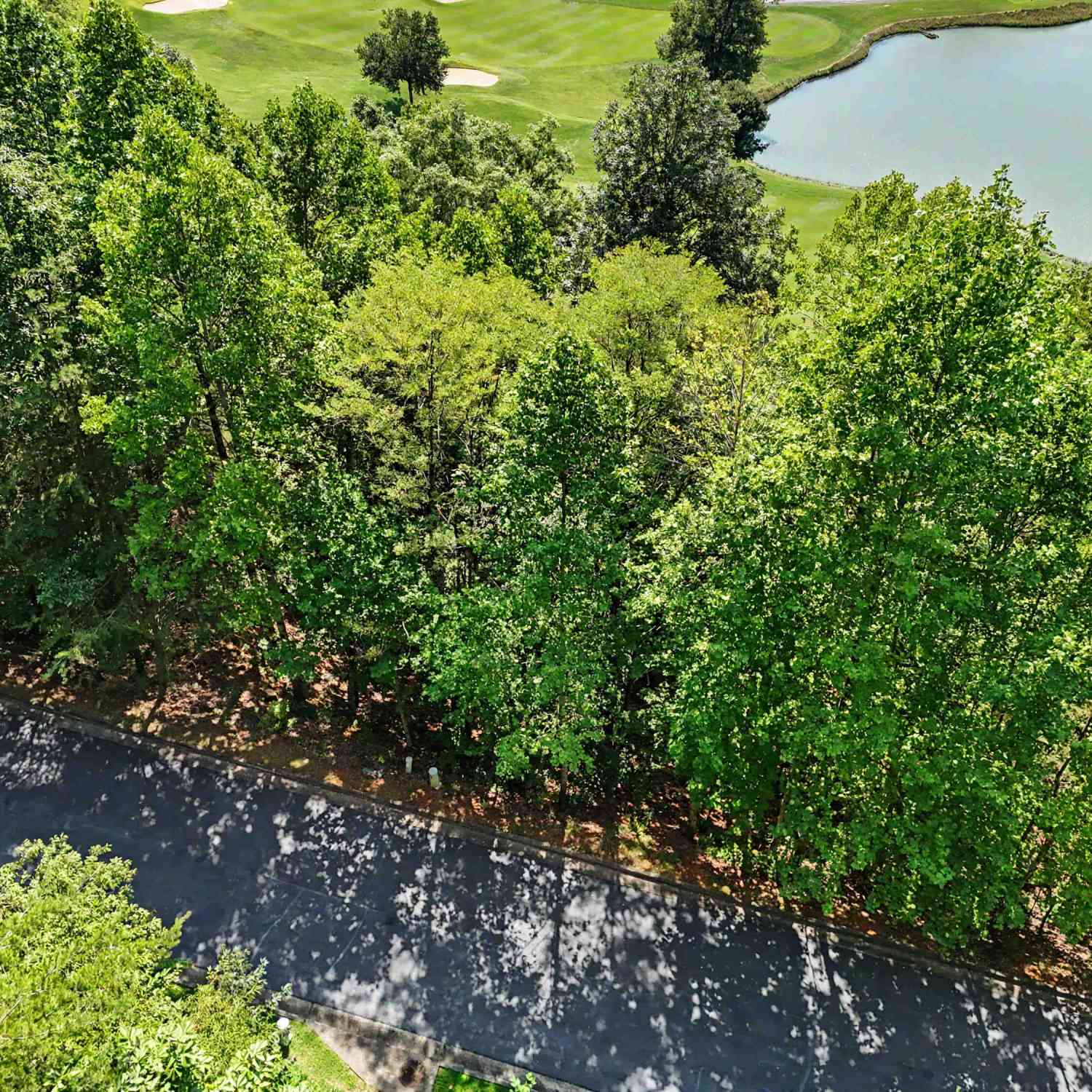 Vacant Land For Sale - Waterfall Drive 5d<br/> Rabun County, Clayton, GA 30525