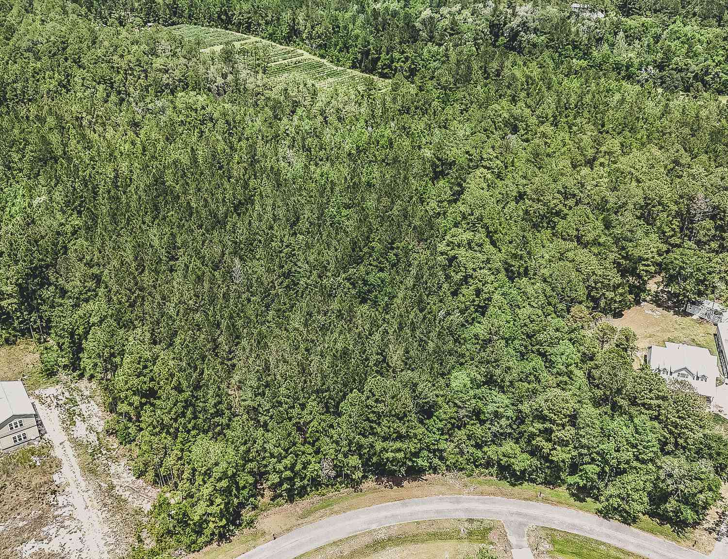 Vacant Land For Sale - V/L 22 Village Drive<br/> Camden County, Woodbine, GA 31569