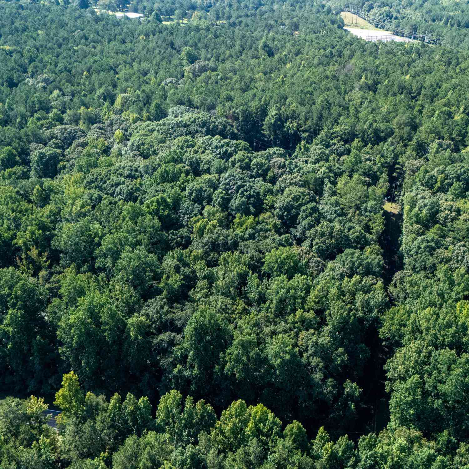 Vacant Land For Sale - Hunt Road #1<br/> Troup County, Lagrange, GA 30241