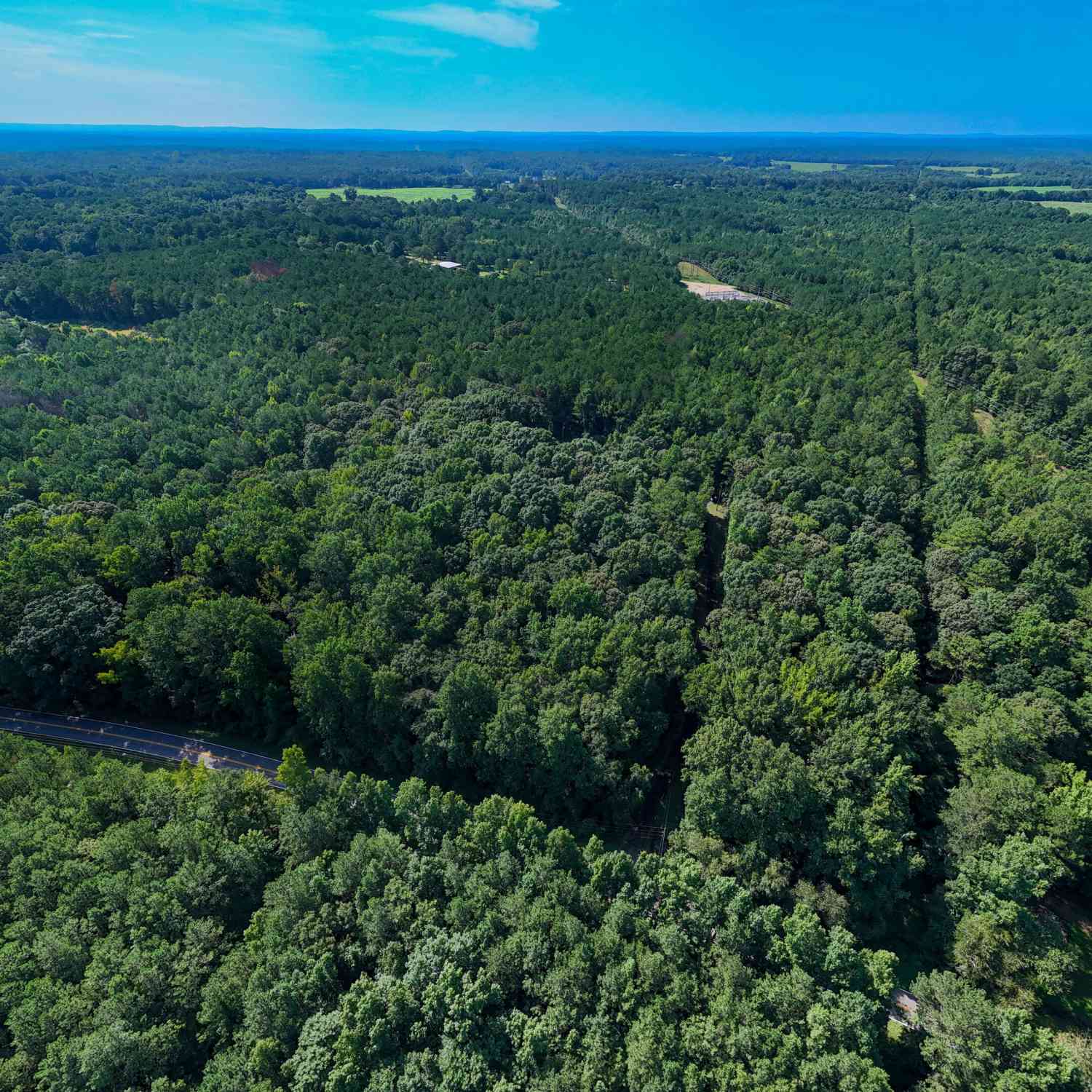 Vacant Land For Sale - Hunt Road #2<br/> Troup County, Lagrange, GA 30241