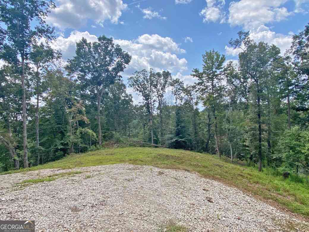 Vacant Land For Sale - 3.3AC Trillium Trail<br/> Lumpkin County, Dahlonega, GA 30533