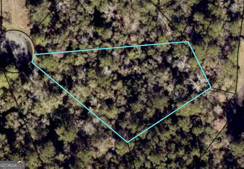 Vacant Land For Sale - Turtle Dove Way<br/> Camden County, Waverly, GA 31565