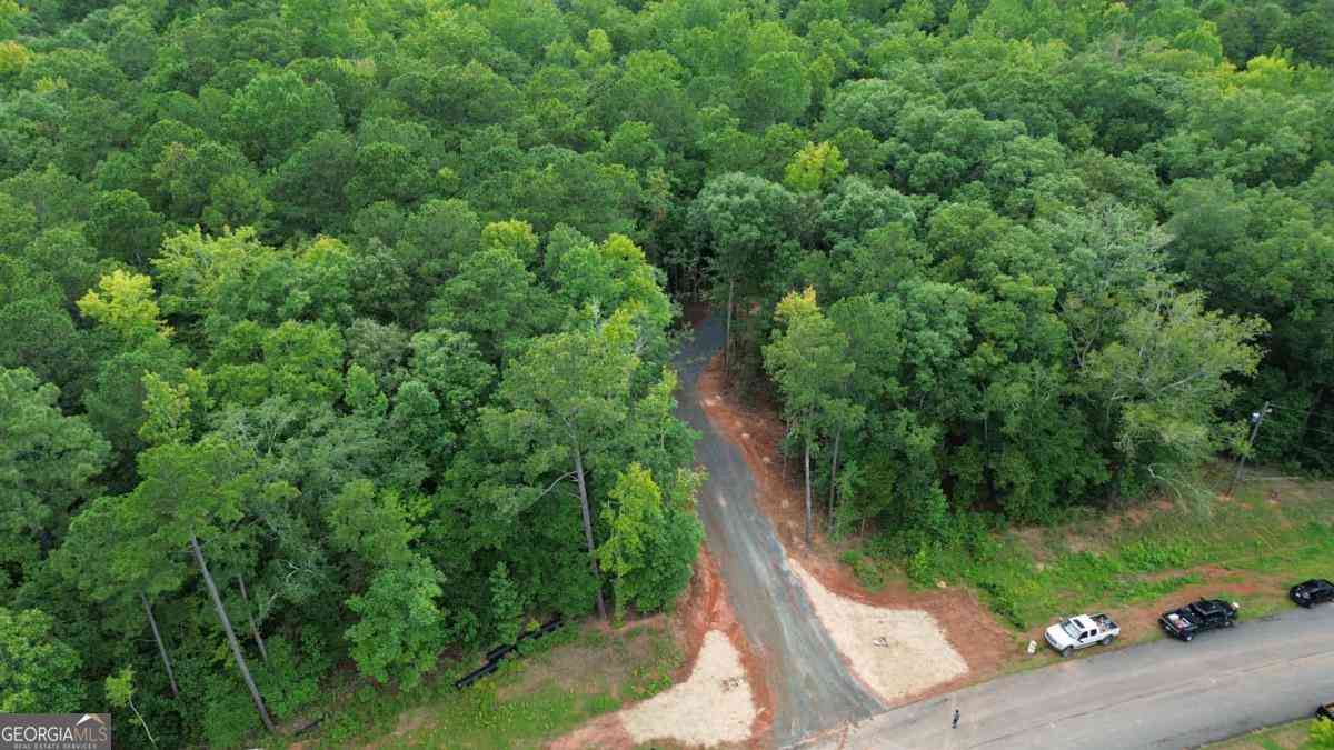 Vacant Land For Sale - Roosevelt Hwy #2<br/> Meriwether County, Warm Springs, GA 31830