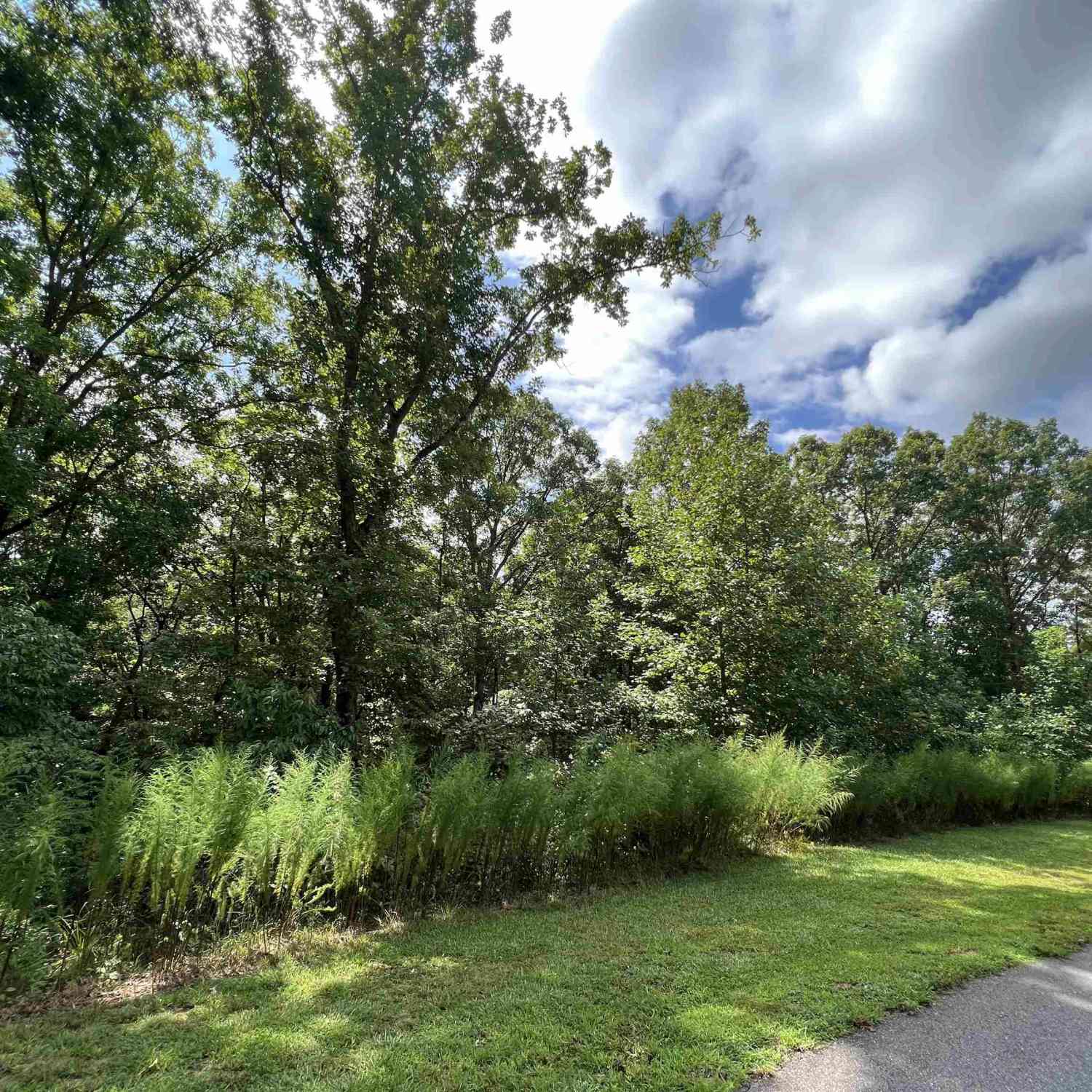 Vacant Land For Sale - LOT 187 Northshore Drive<br/> White County, Cleveland, GA 30528
