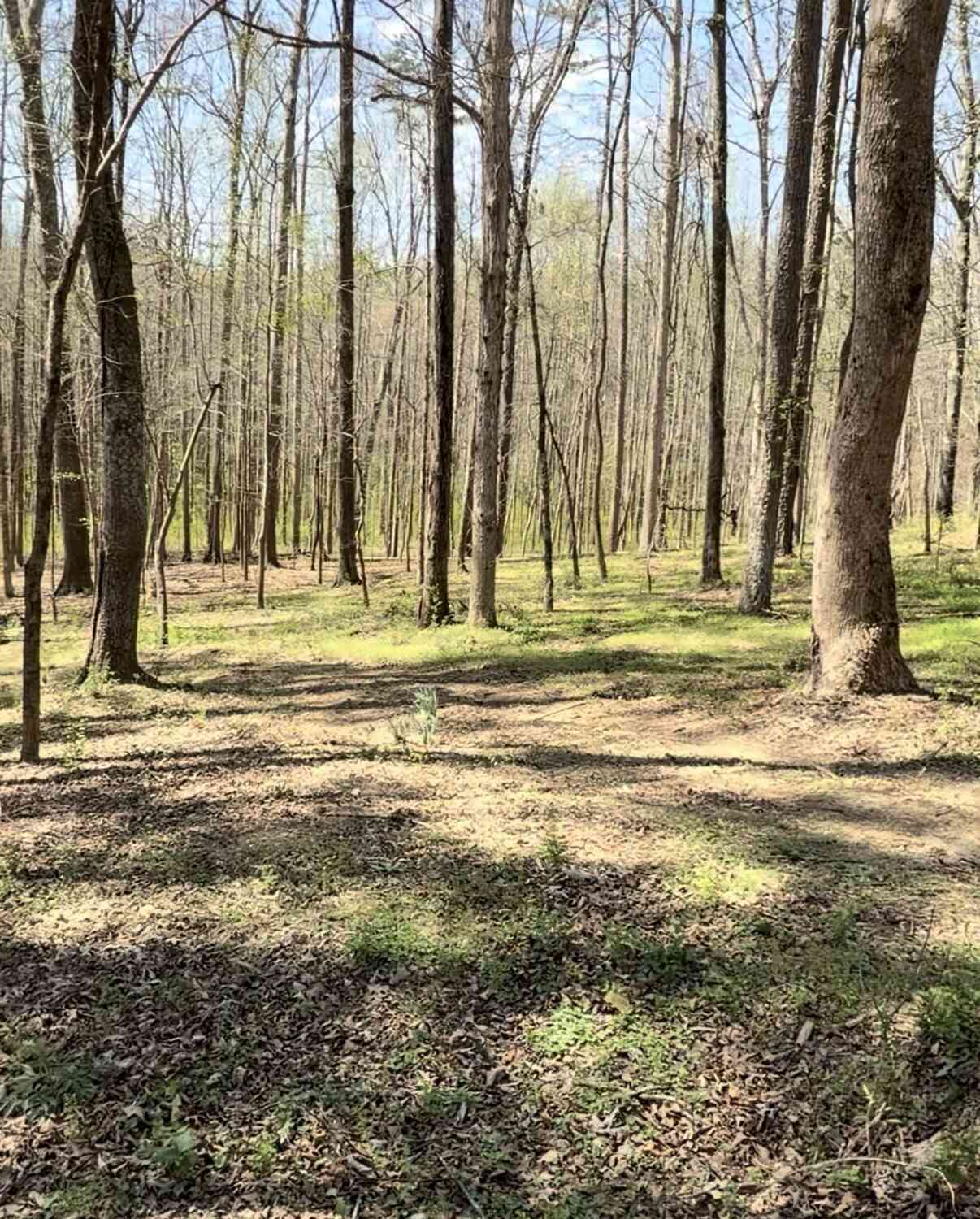 Vacant Land For Sale - Ike Stone<br/> Walton County, Monroe, GA 30656