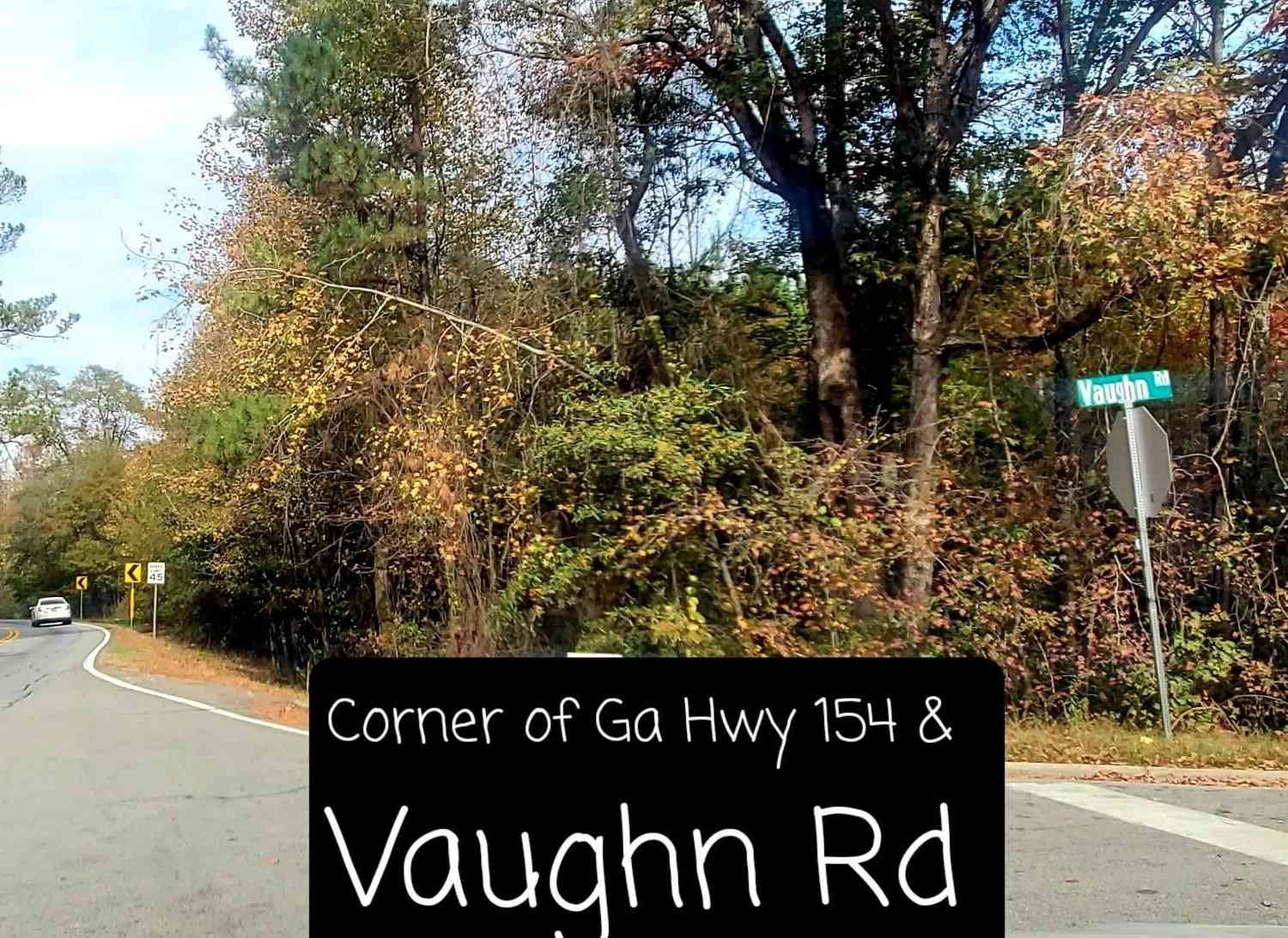 Vacant Land For Sale - LOT 5 Vaughn Road<br/> Coweta County, Newnan, GA 30265