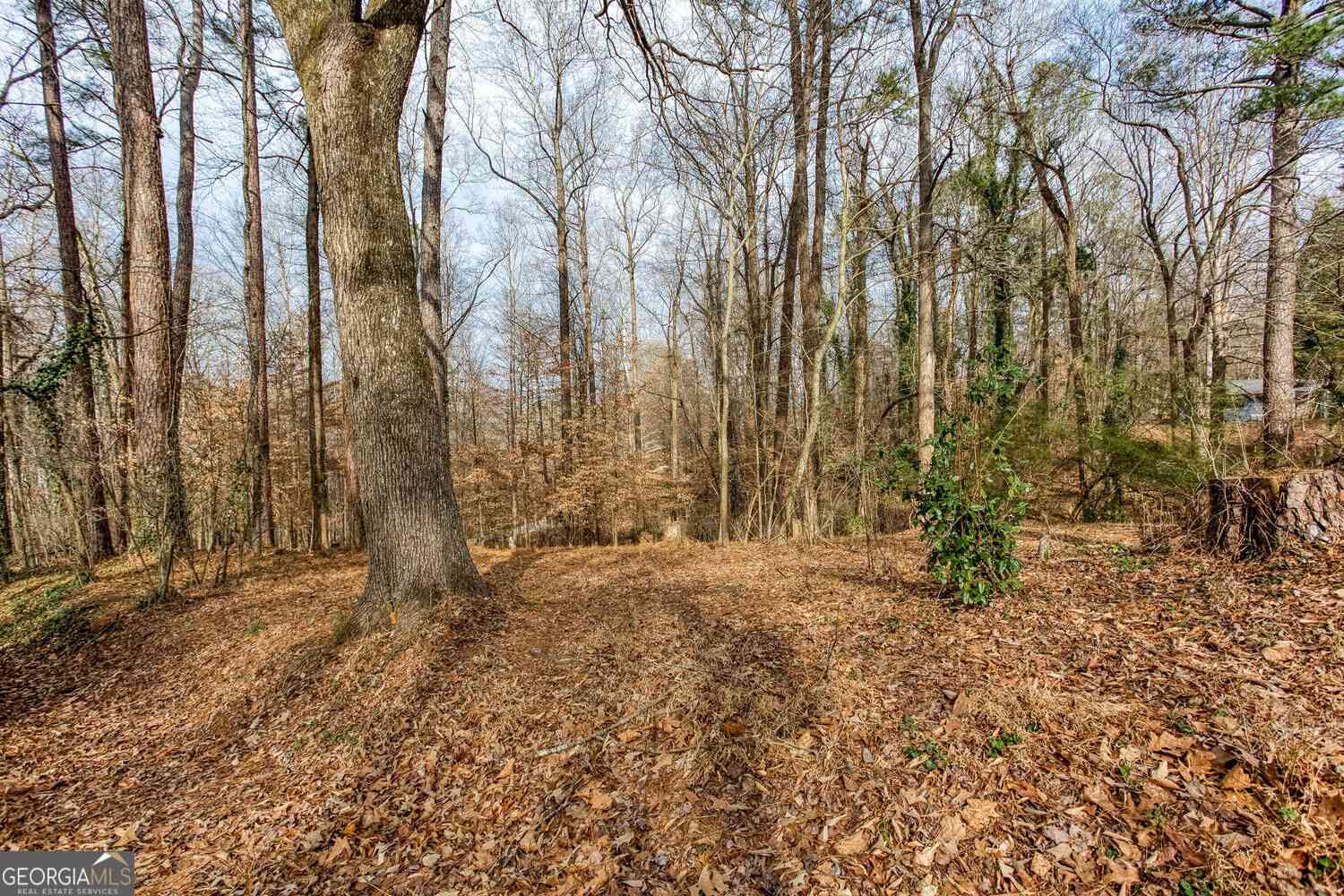 Vacant Land For Sale - 111 Maple<br/> Roswell, GA 30075
