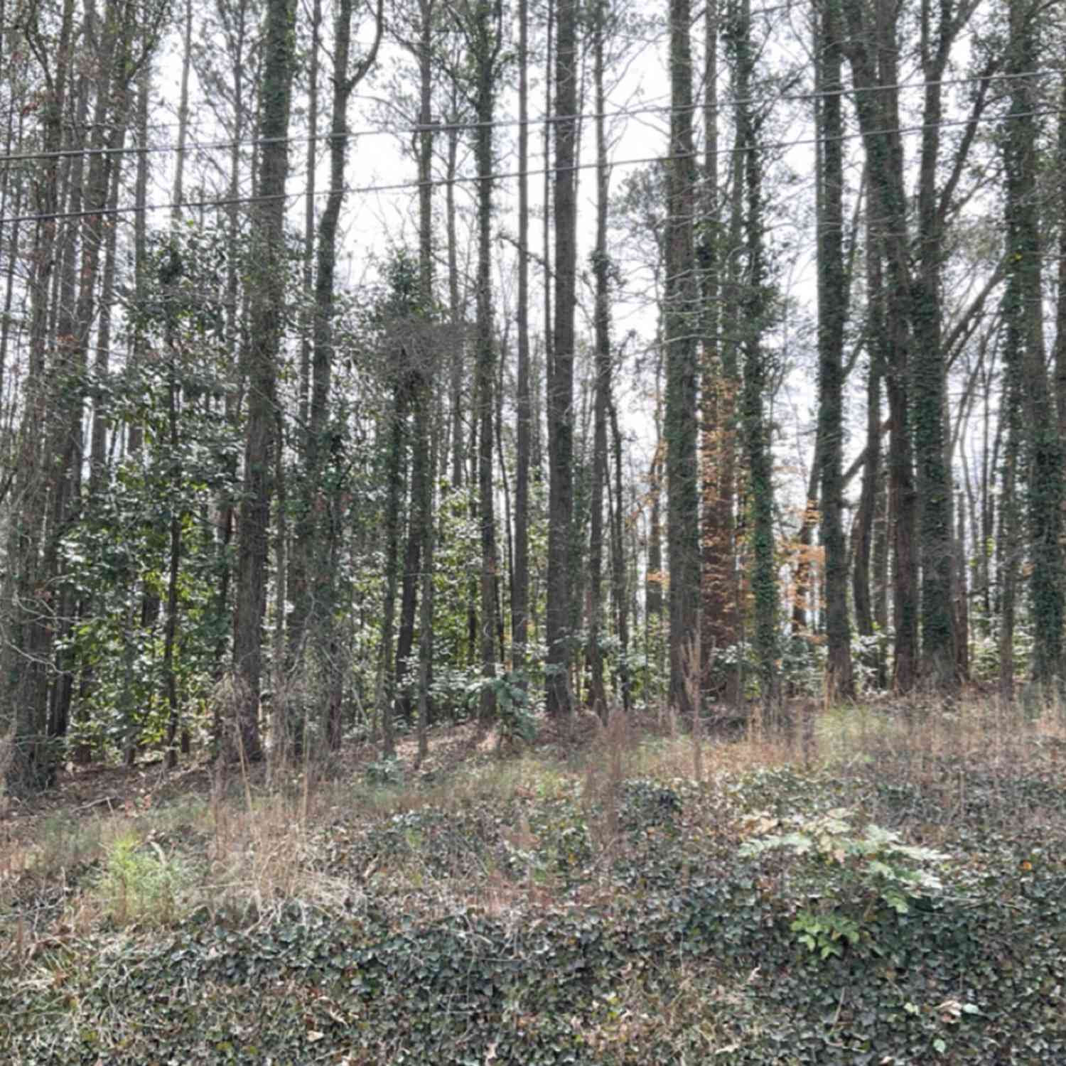Vacant Land For Sale - Head Avenue<br/> Tallapoosa, GA 30176