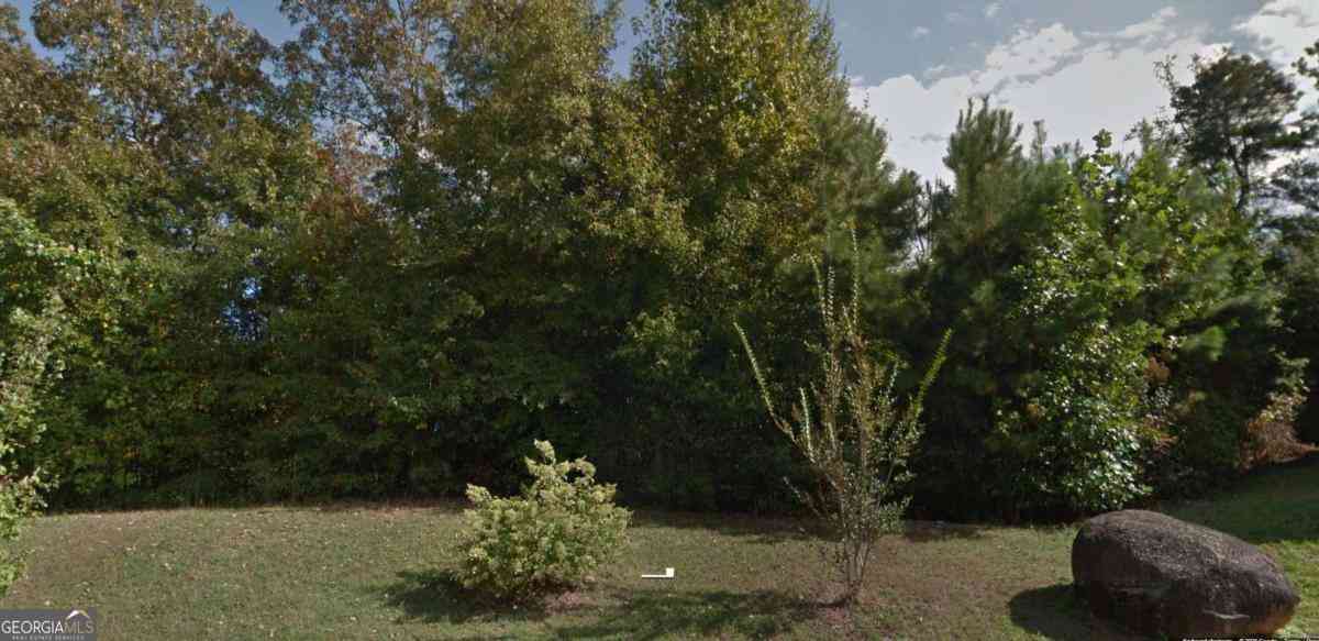 Vacant Land For Sale - Seven Bark Court #47<br/> Palmetto, GA 30268