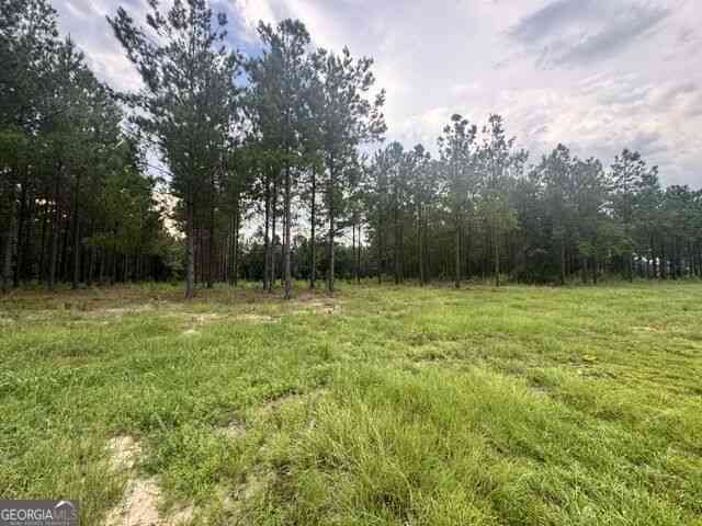 Vacant Land For Sale - Dewey Thomas Rd<br/> Dexter, GA 31019