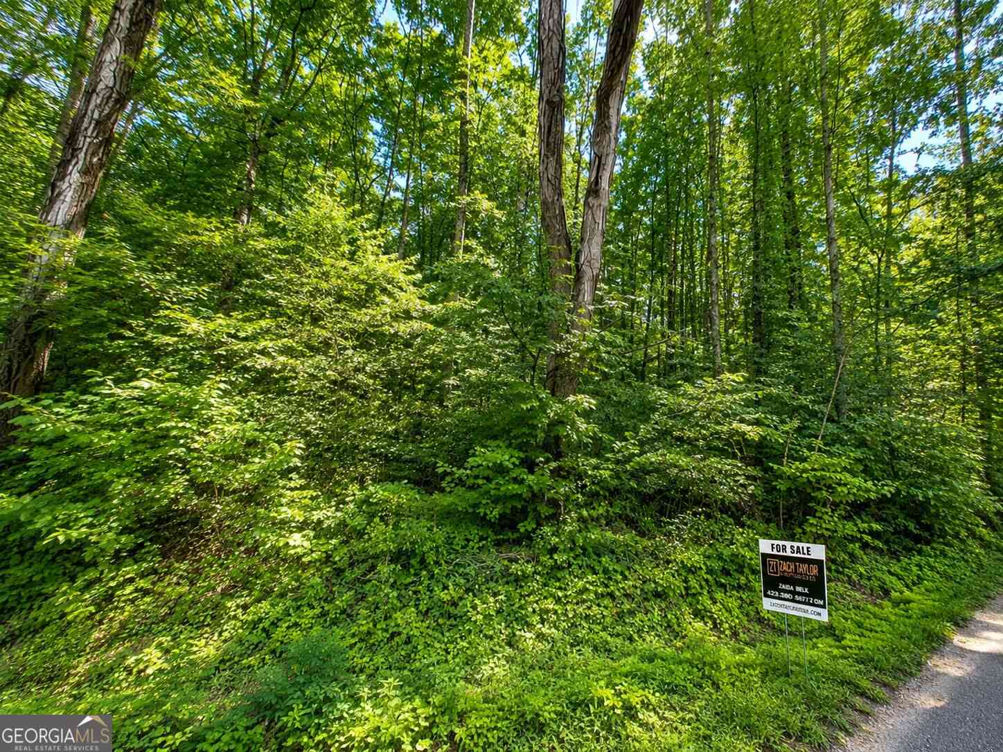 Vacant Land For Sale - 00 Salem Road<br/> Rossville, GA 30741