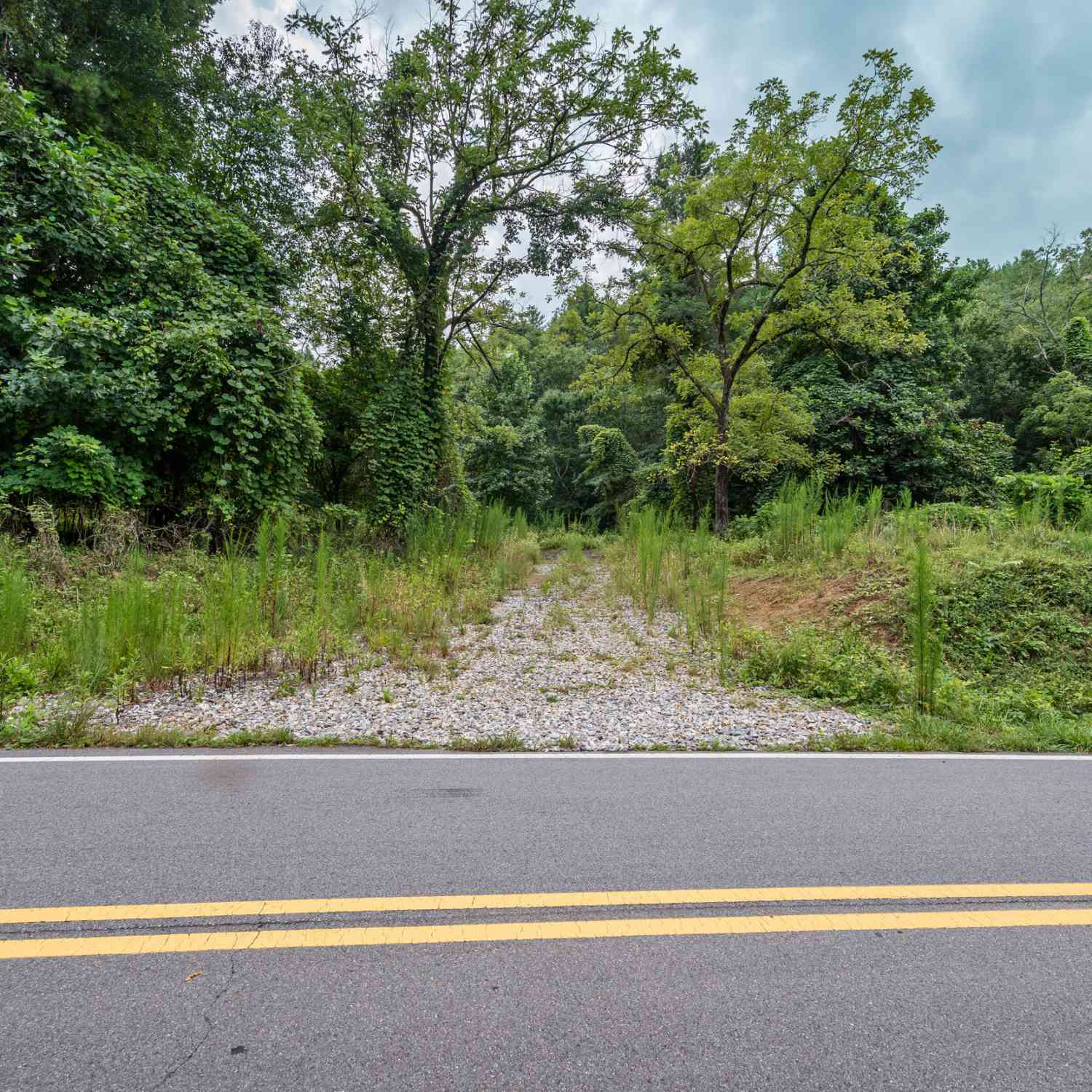Vacant Land For Sale - 32 Raven Ridge<br/> Mineral Bluff, GA 30559