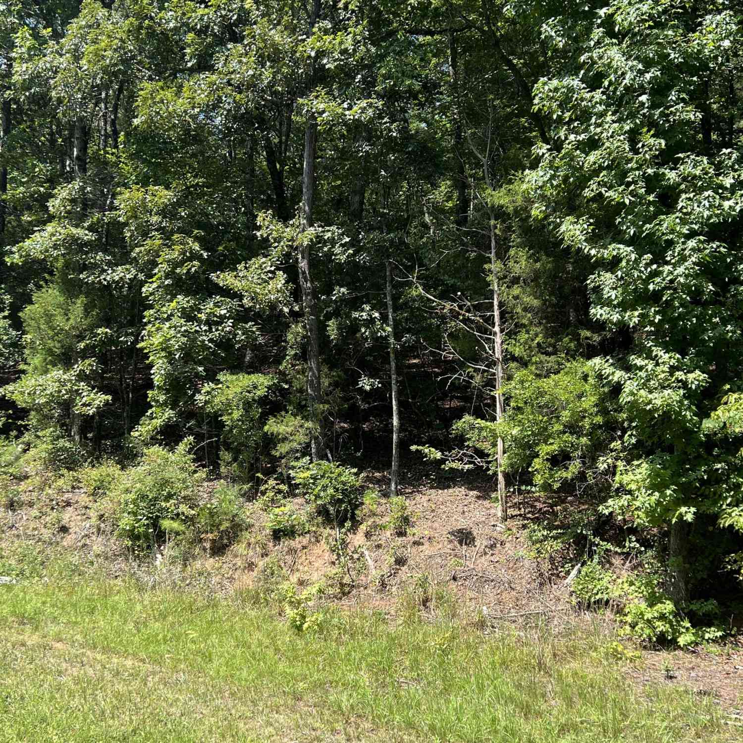 Vacant Land For Sale - Davidson Road<br/> West Point, GA 31833