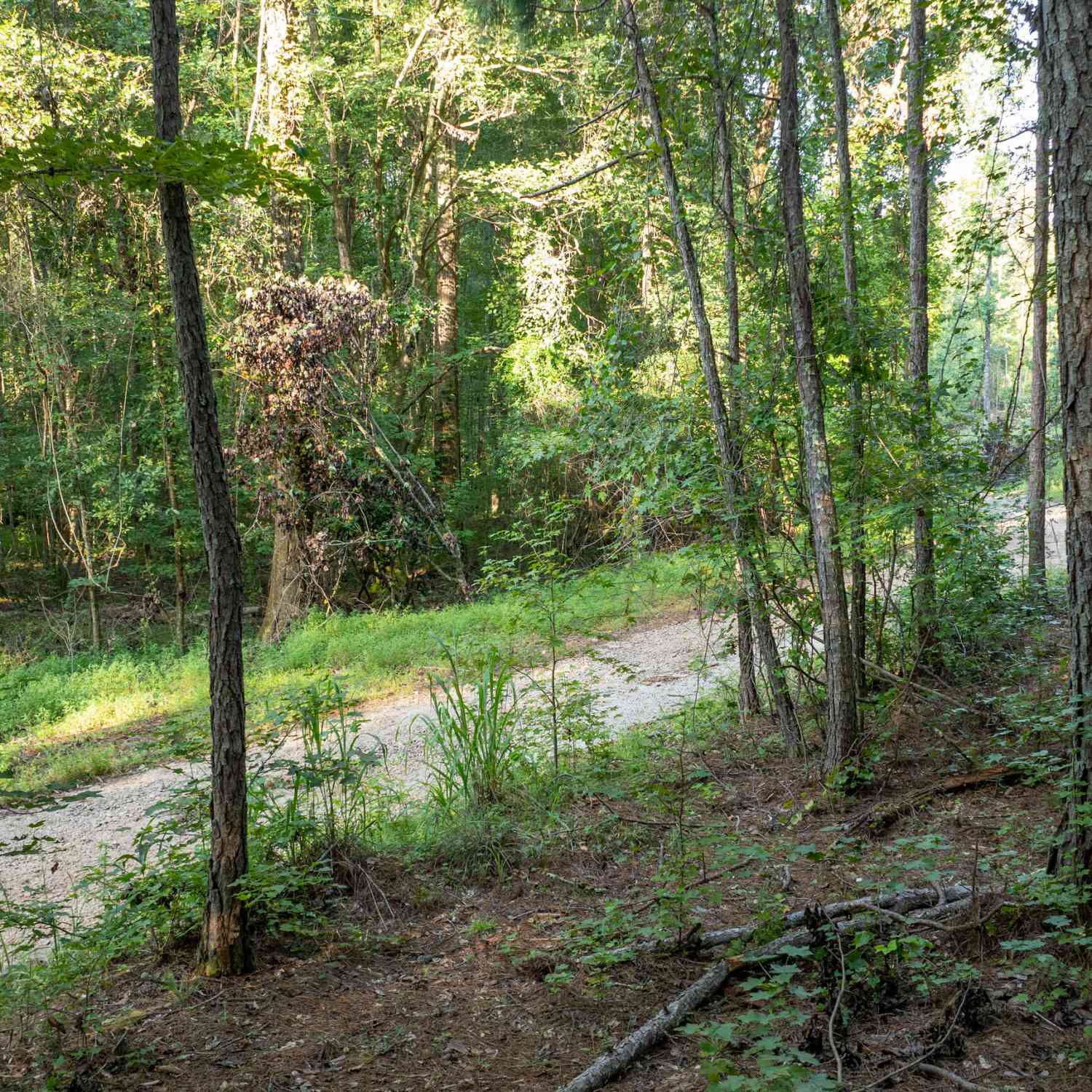 Vacant Land For Sale - Allgood Road #12.59+/- ACRES<br/> Newnan, GA 30263