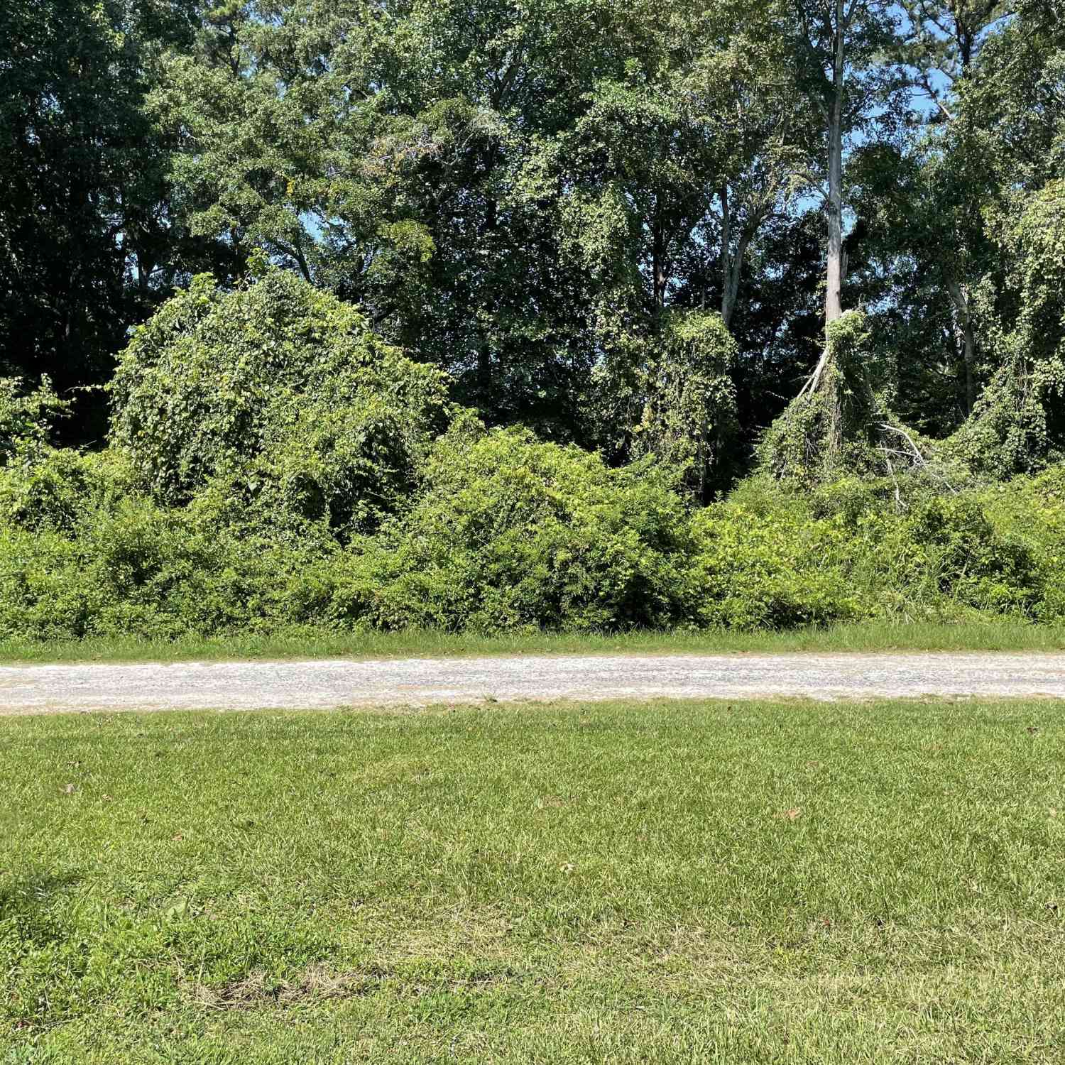 Vacant Land For Sale - Groveland Drive<br/> Winder, GA 30680