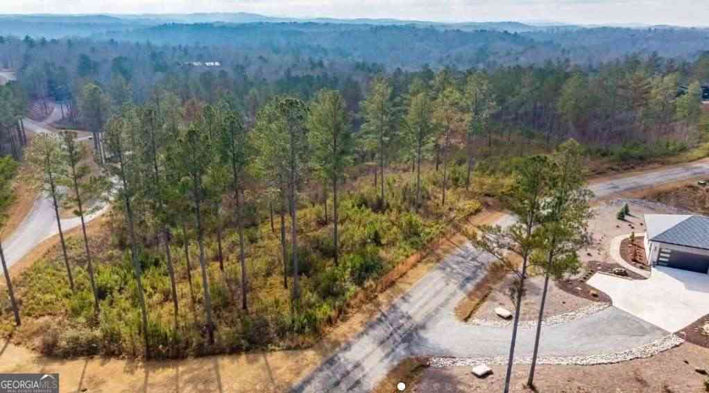 Vacant Land For Sale - LOT 65 High River Landing<br/> Ellijay, GA 30540