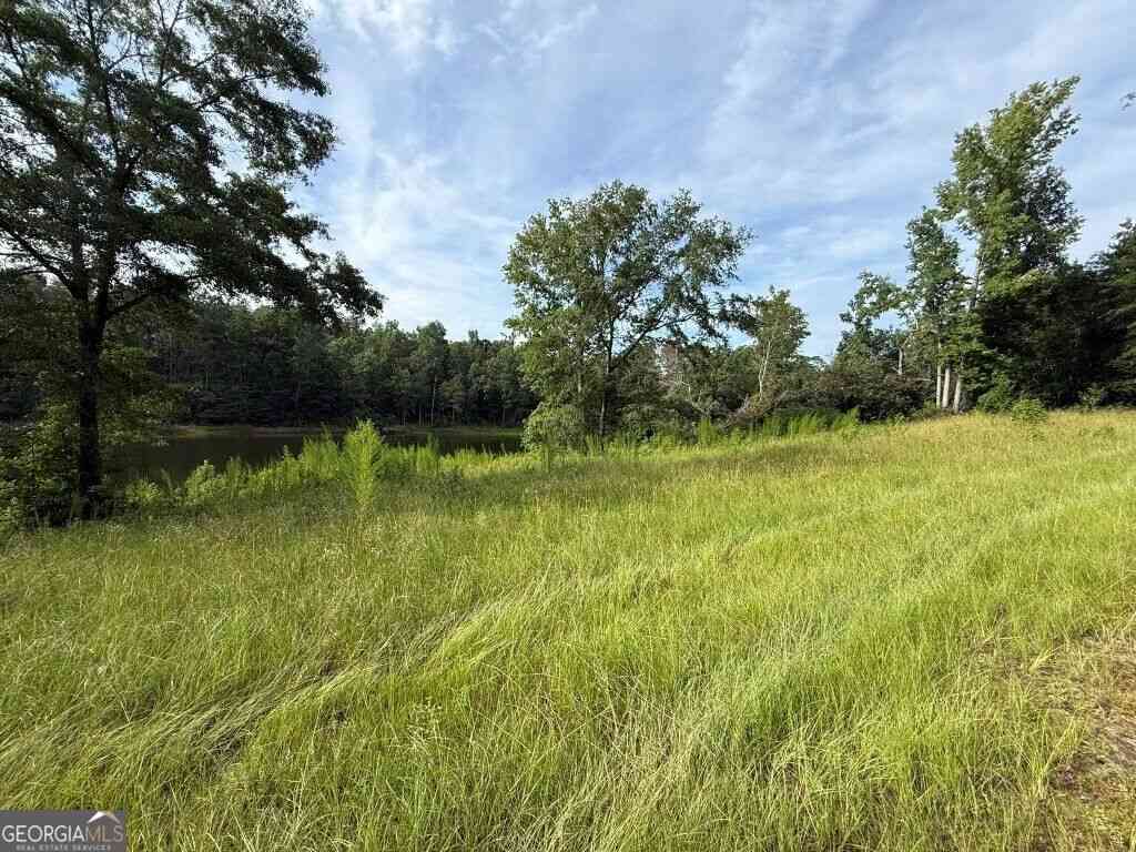 Vacant Land For Sale - 1940 Liberty Church Road<br/> Hephzibah, GA 30815