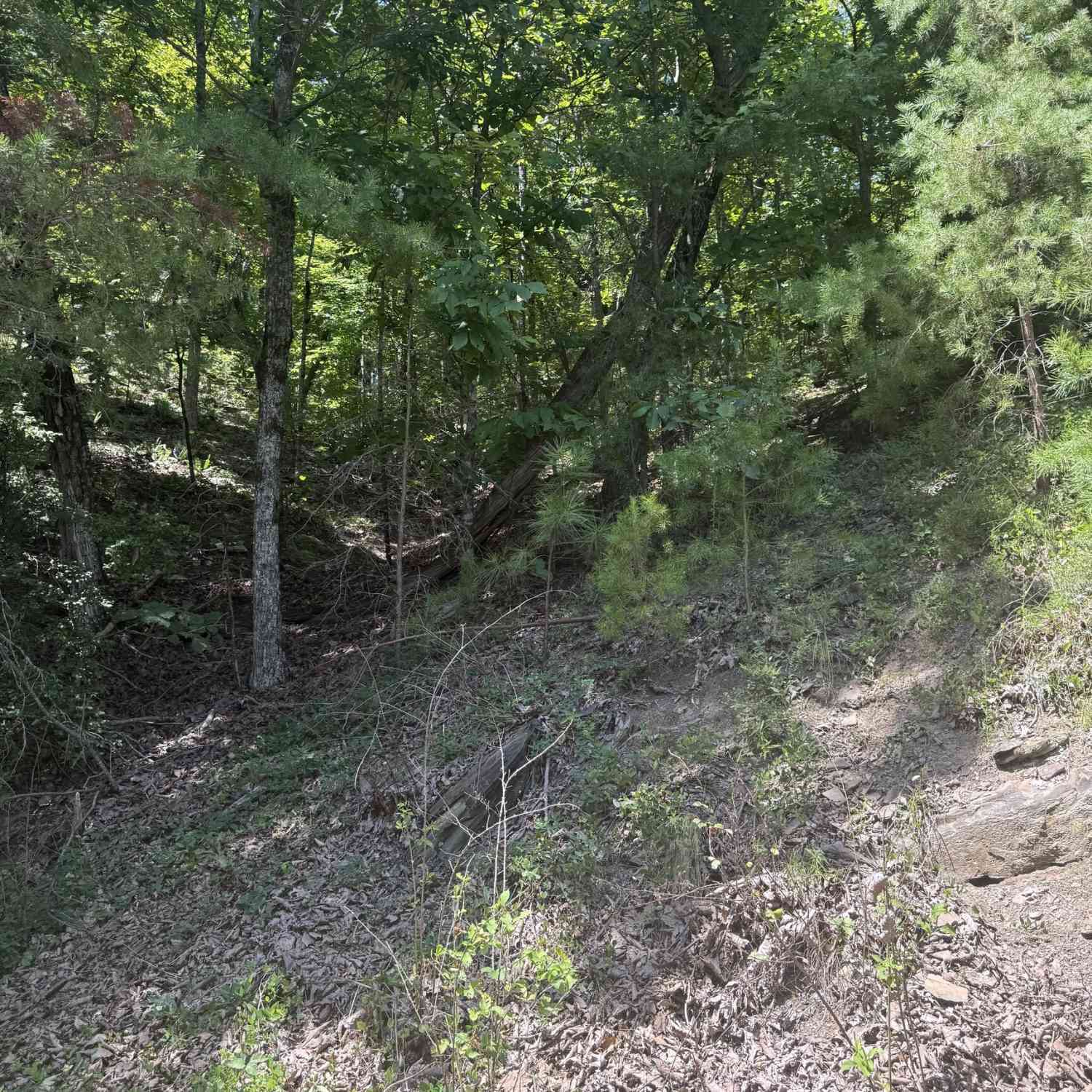 Vacant Land For Sale - 347 Meteor Court NE<br/> Ranger, GA 30734
