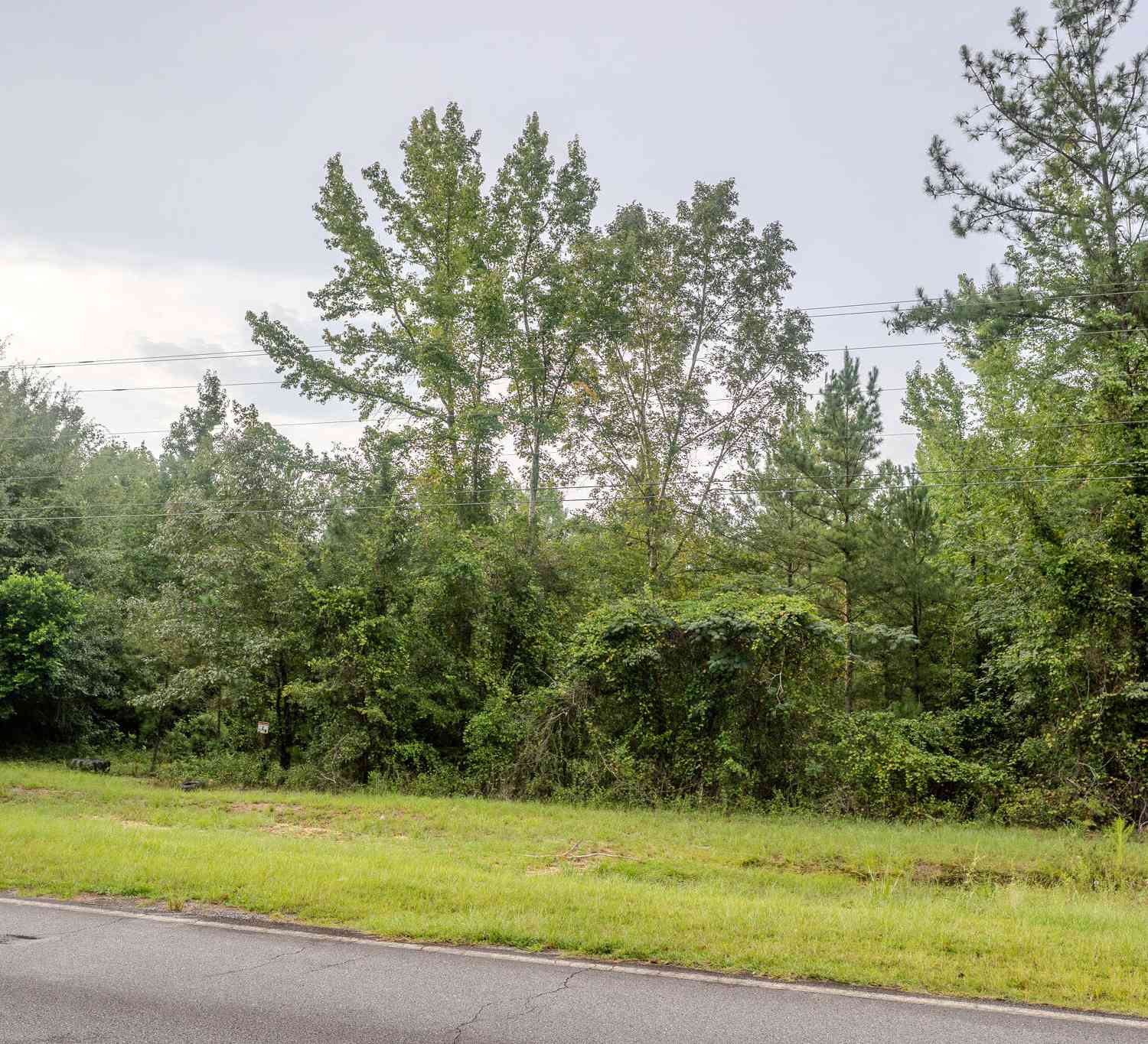 Vacant Land For Sale - 3825 Masseyville Road<br/> Macon, GA 31217