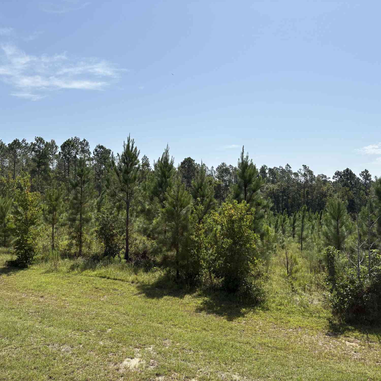 Vacant Land For Sale - Dixon Road<br/> Dublin, GA 31021