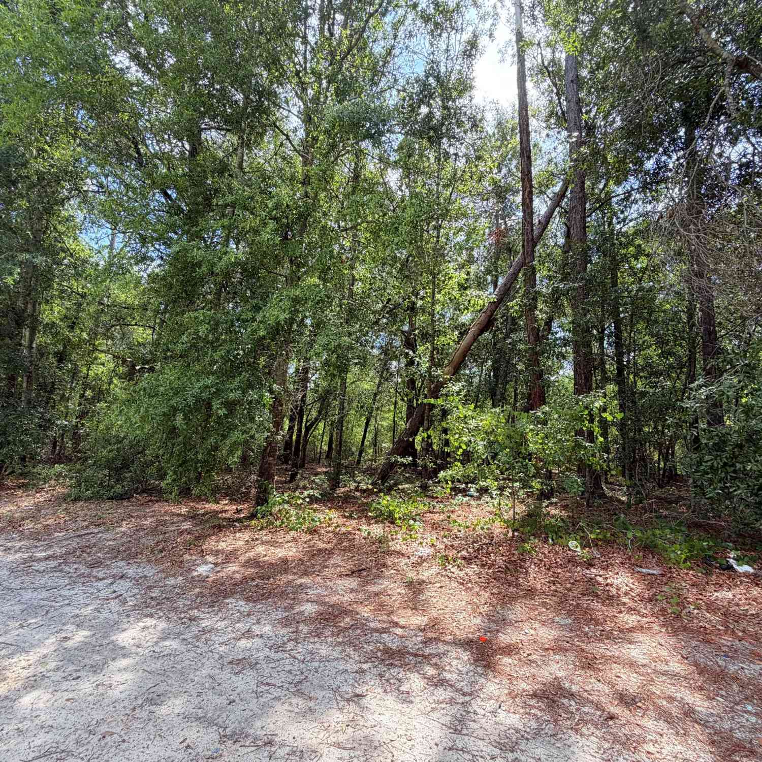 Vacant Land For Sale - Lakeview Dr<br/> Alamo, GA 30411