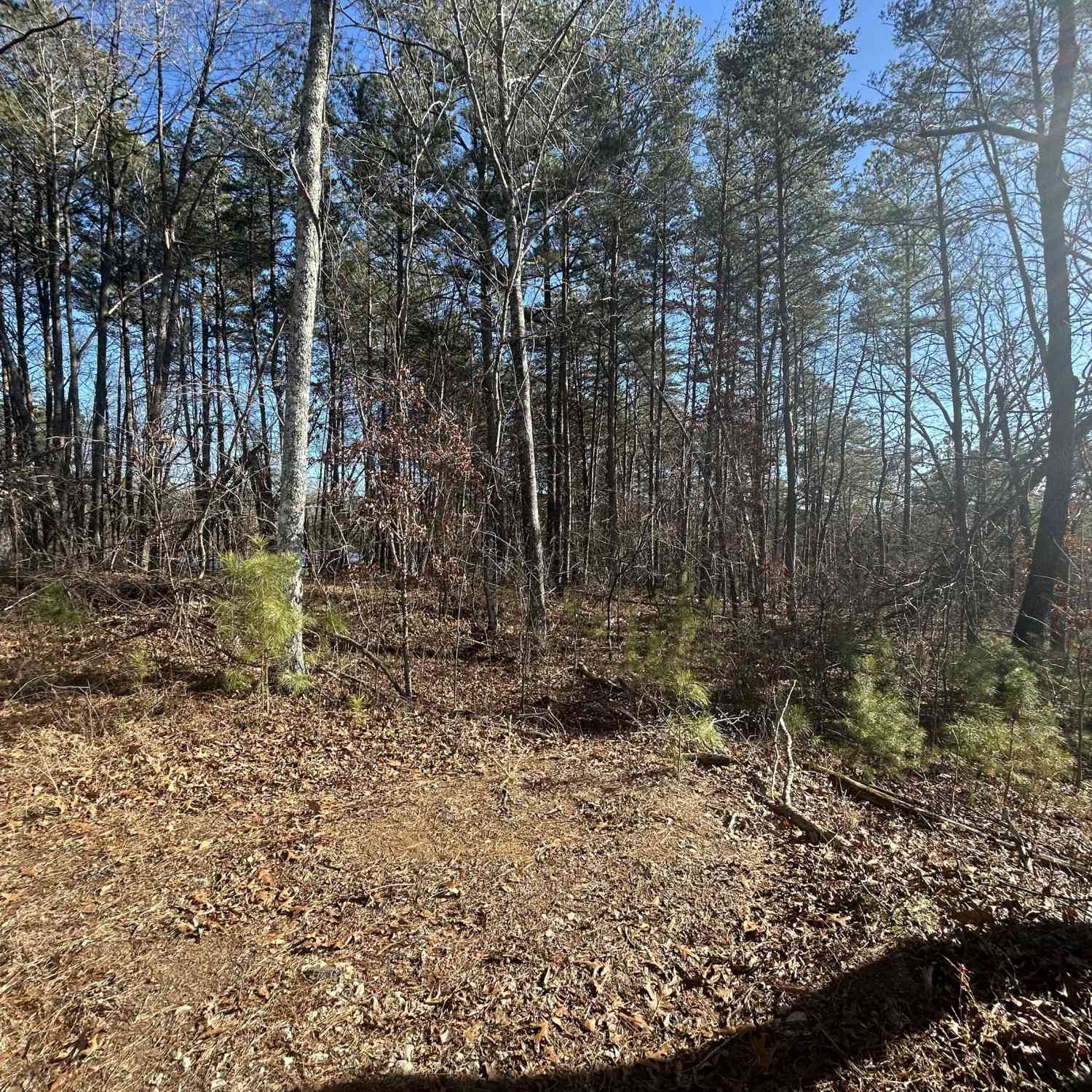 Vacant Land For Sale - Highland Tree Court<br/> Ranger, GA 30734