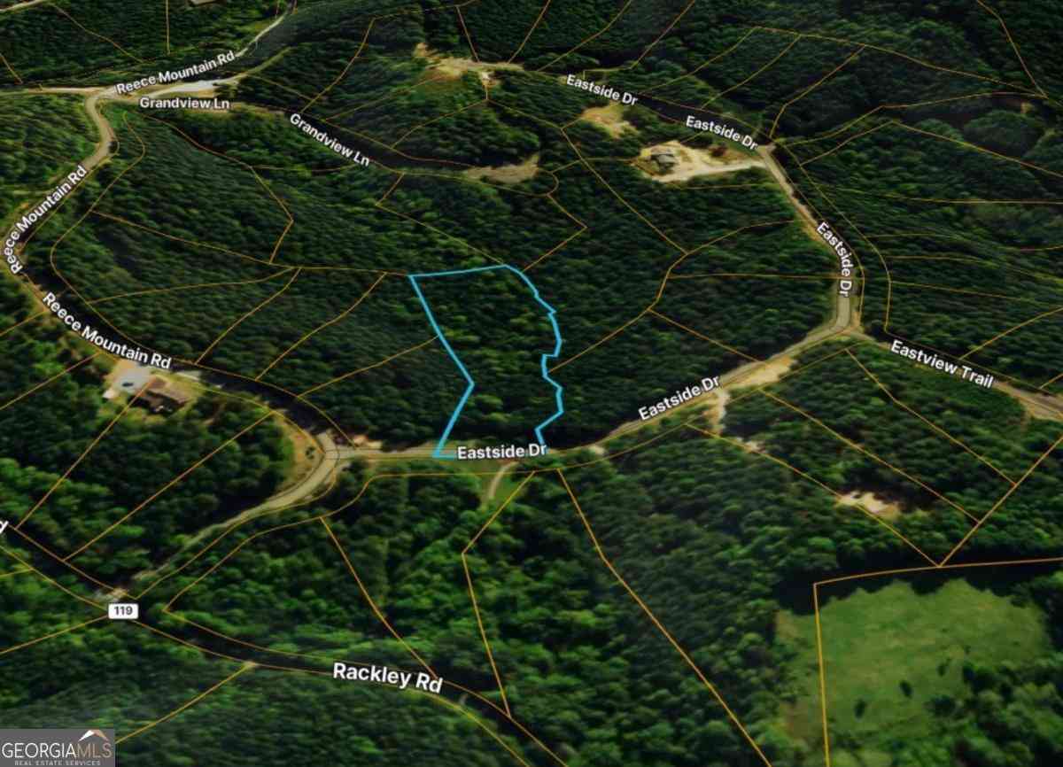 Vacant Land For Sale - LOT 37 Eastside Drive<br/> Ellijay, GA 30536