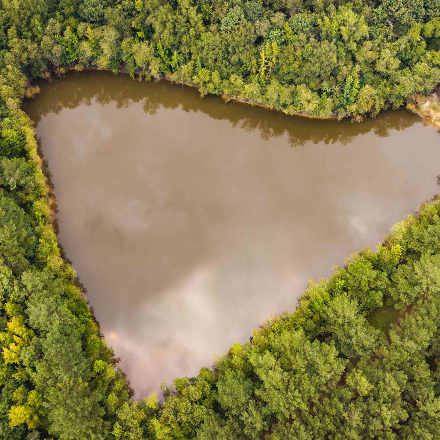 Vacant Land For Sale - Chatham St Road<br/> Montezuma, GA 31063