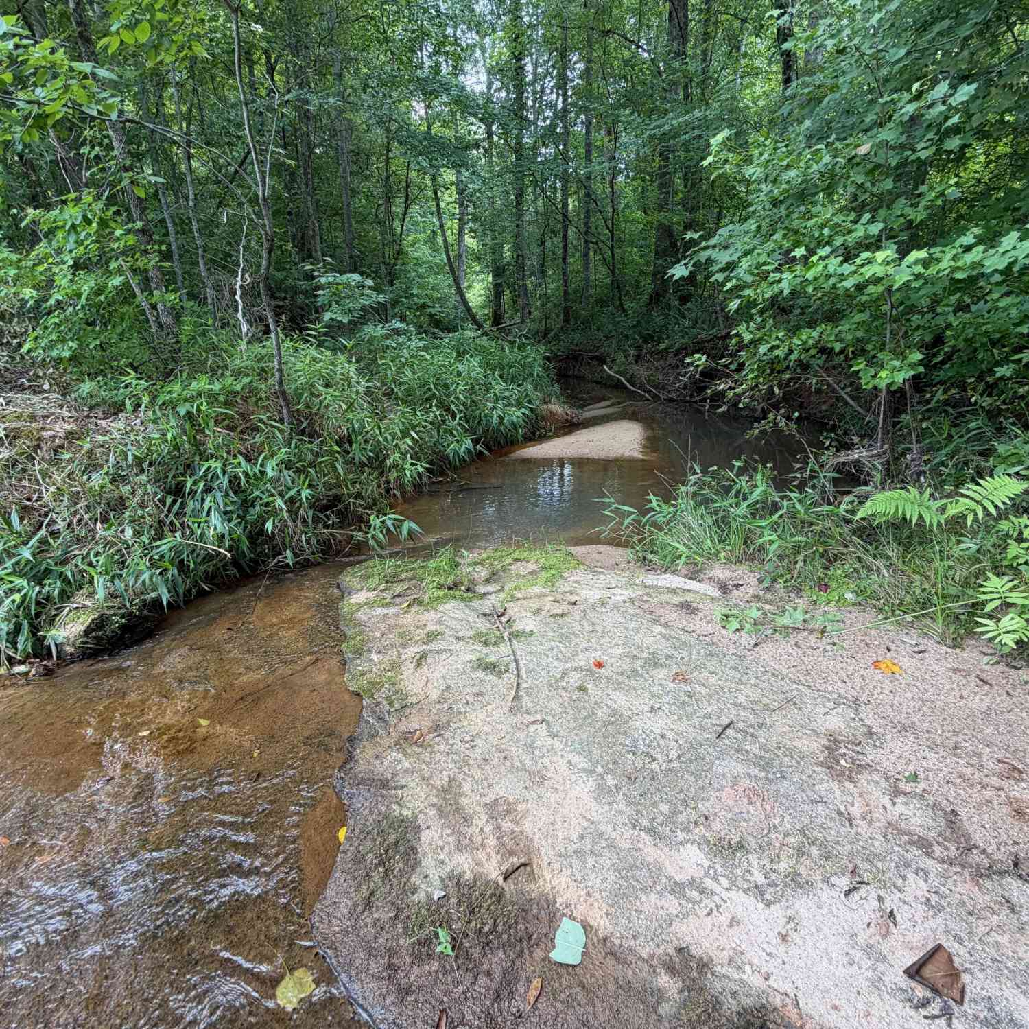 Vacant Land For Sale - 47 ACRES Cochran Road<br/> Madison, GA 30650