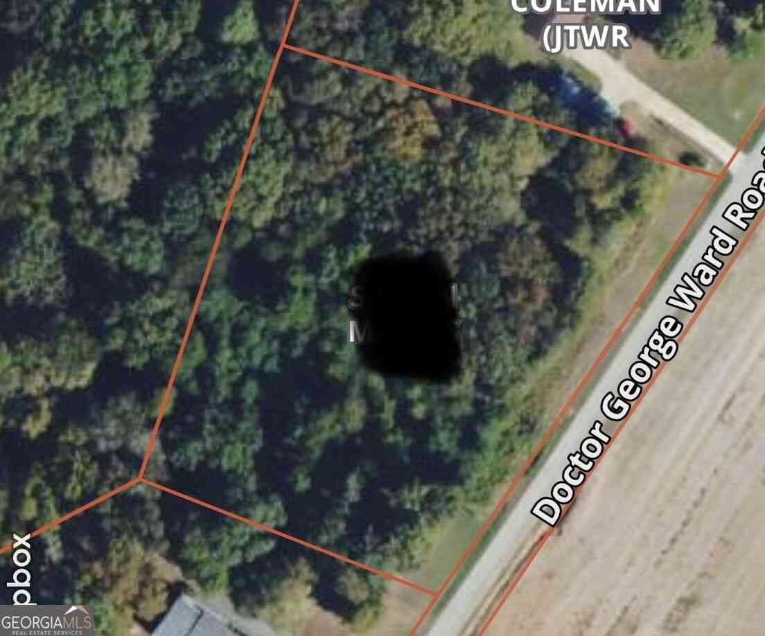 Vacant Land For Sale - 2152 Dr George Ward Road<br/> Elberton, GA 30635