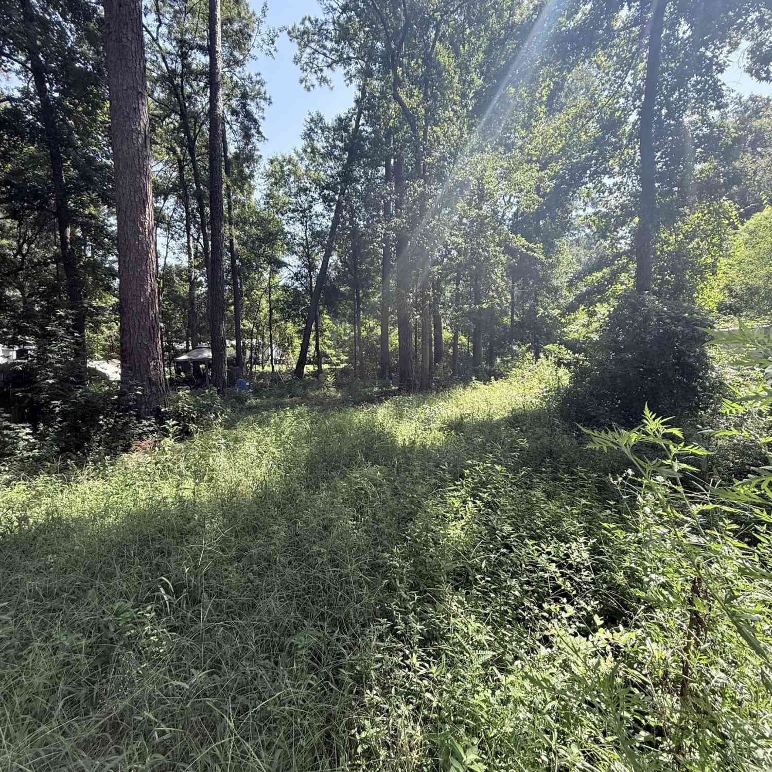 Vacant Land For Sale - 409 Dogwood Lane<br/> Midway, GA 31320